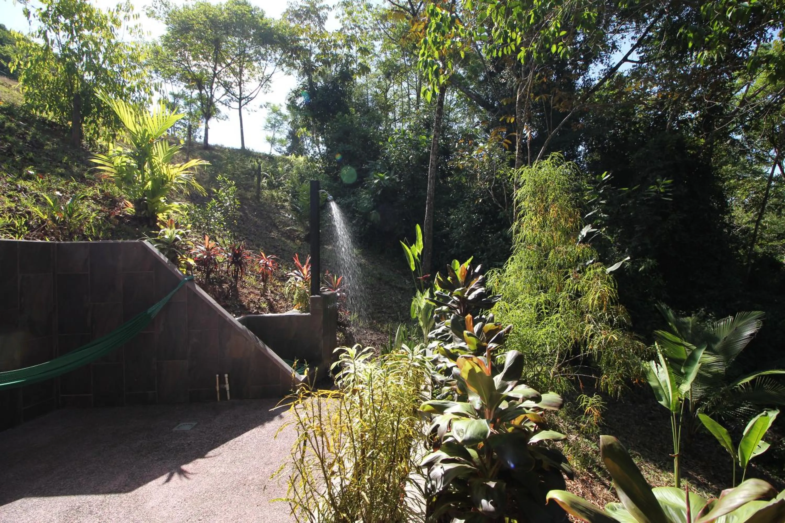 Garden in Oasis de las Palmas