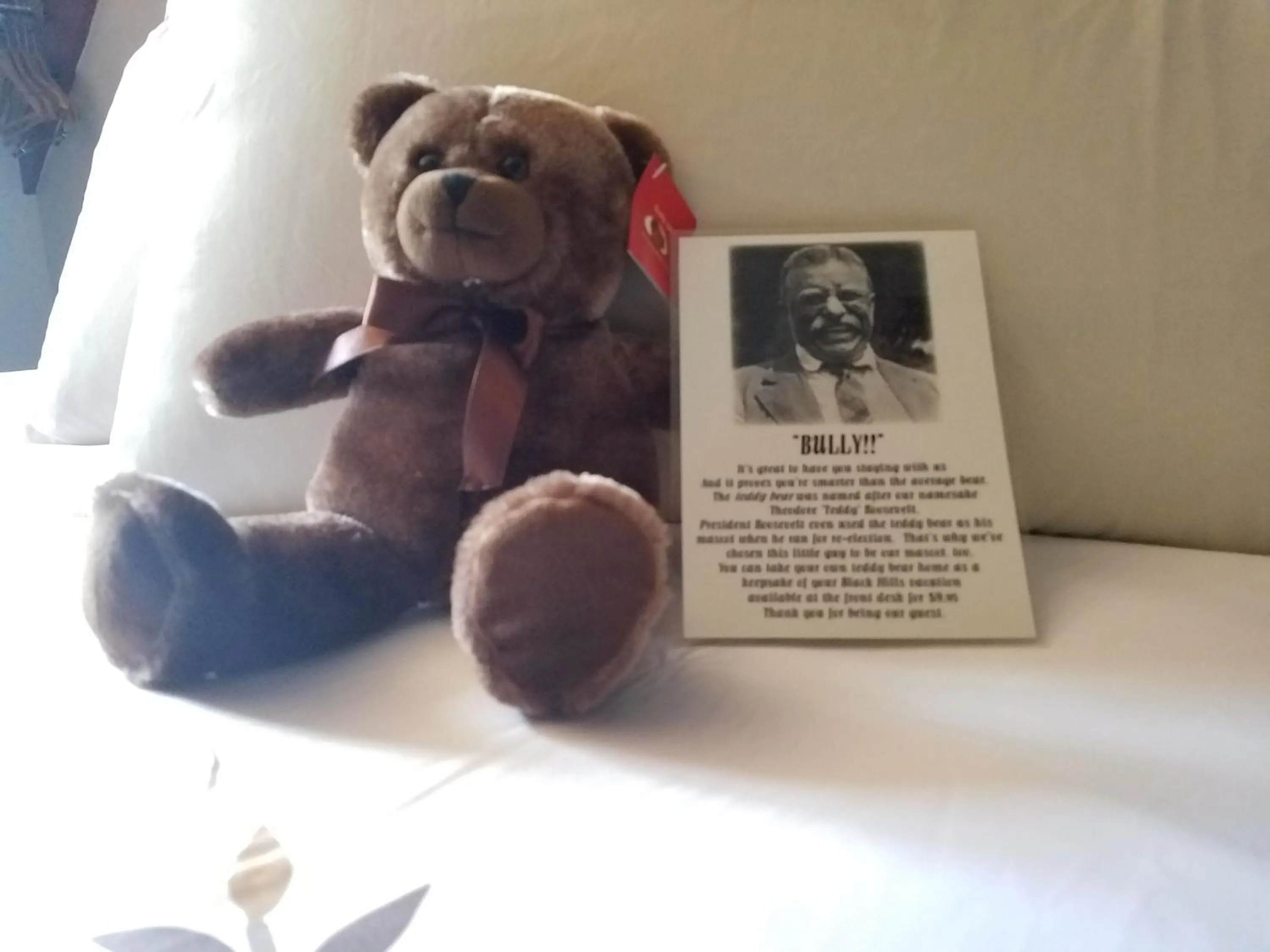 Roosevelt Inn Mount Rushmore