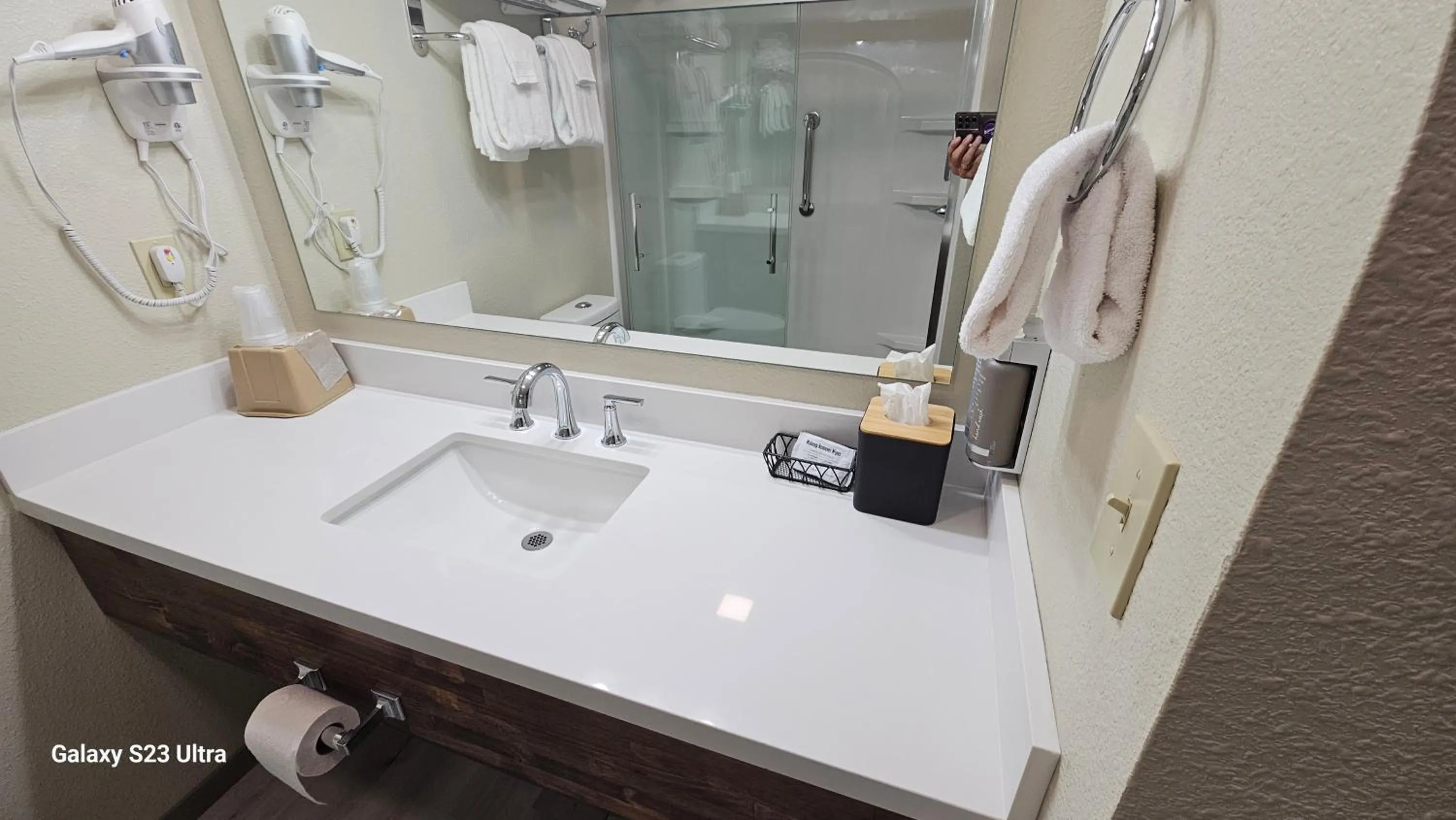 Roosevelt Inn Mount Rushmore