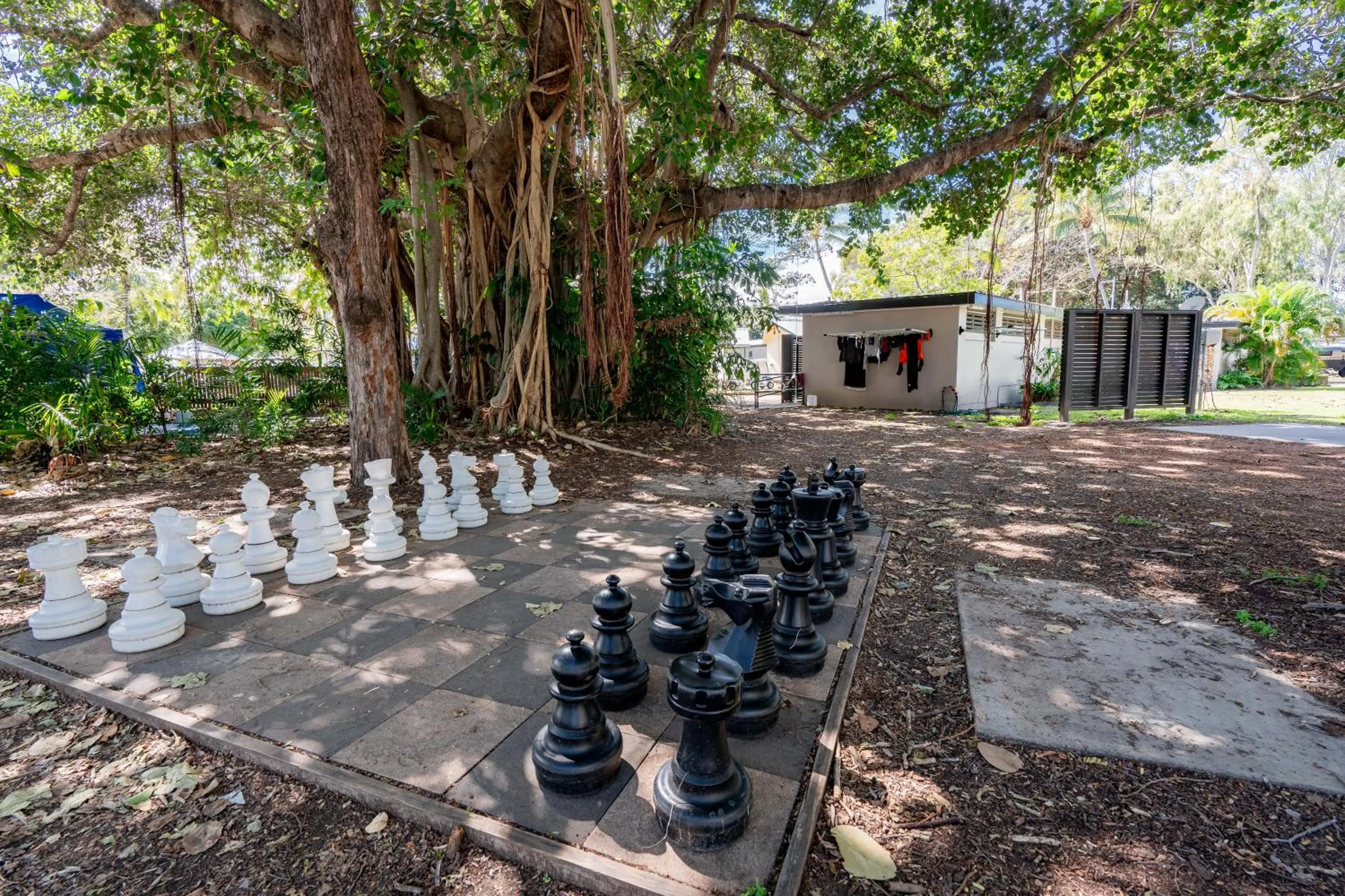 Day in BIG4 Tasman Holiday Parks - Rowes Bay