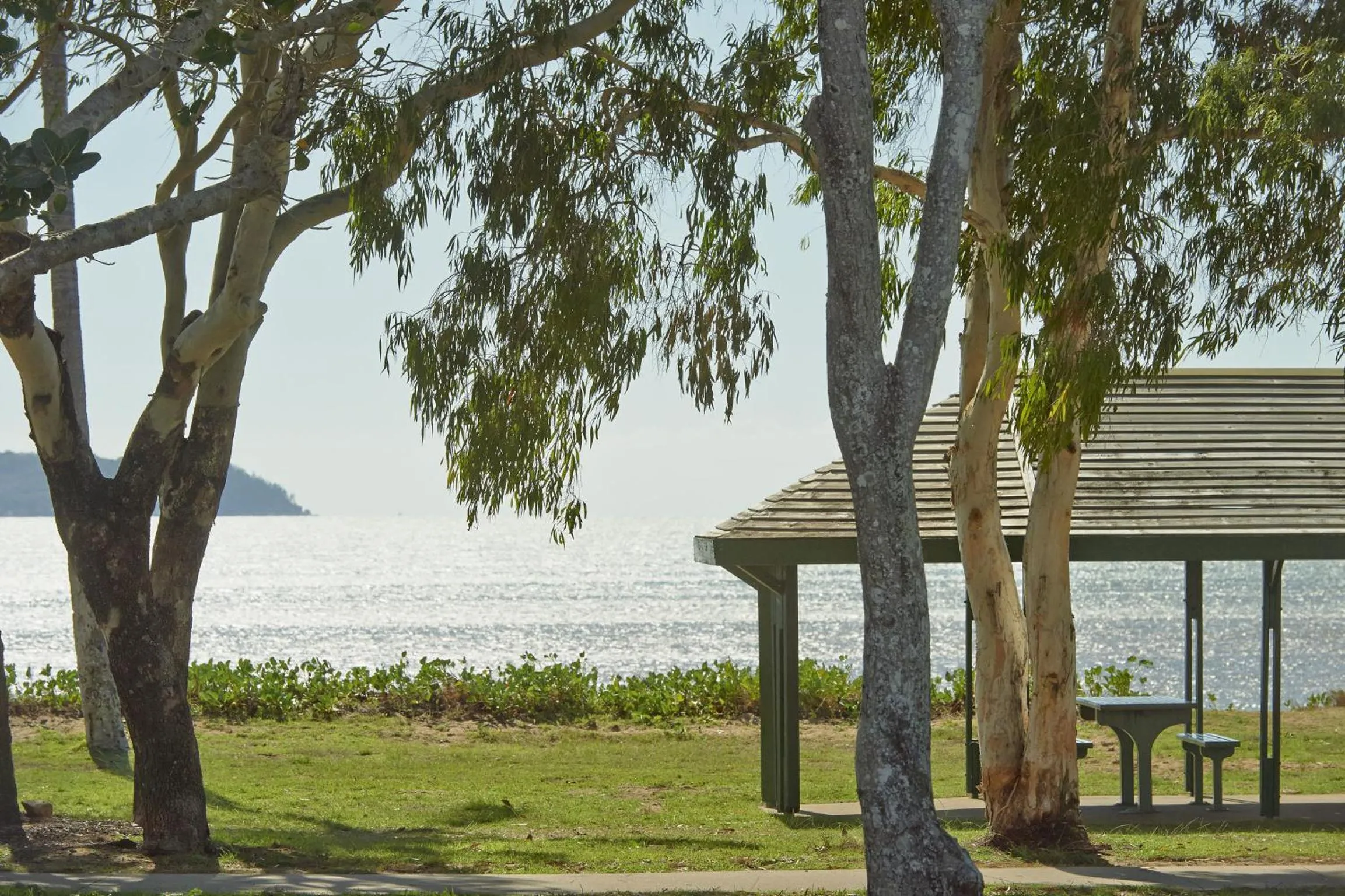 Natural landscape in BIG4 Tasman Holiday Parks - Rowes Bay
