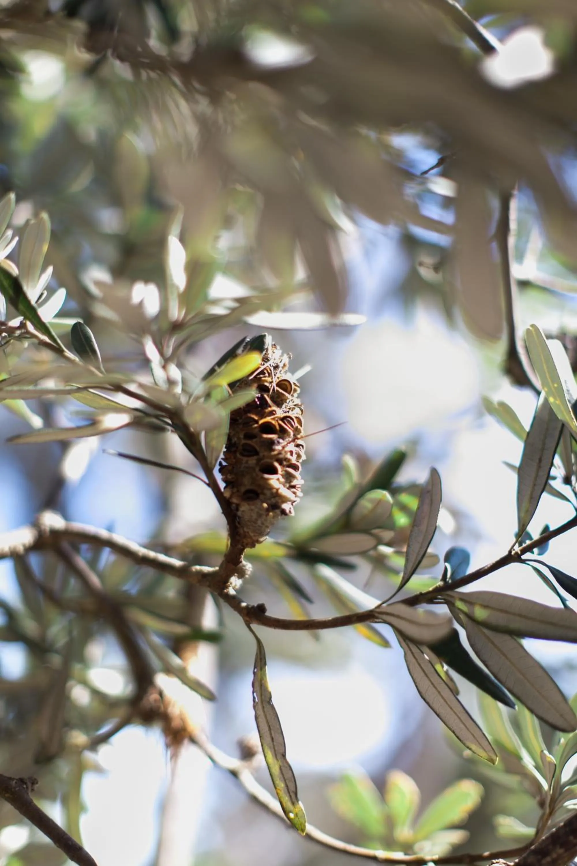 Sailaway Beach House