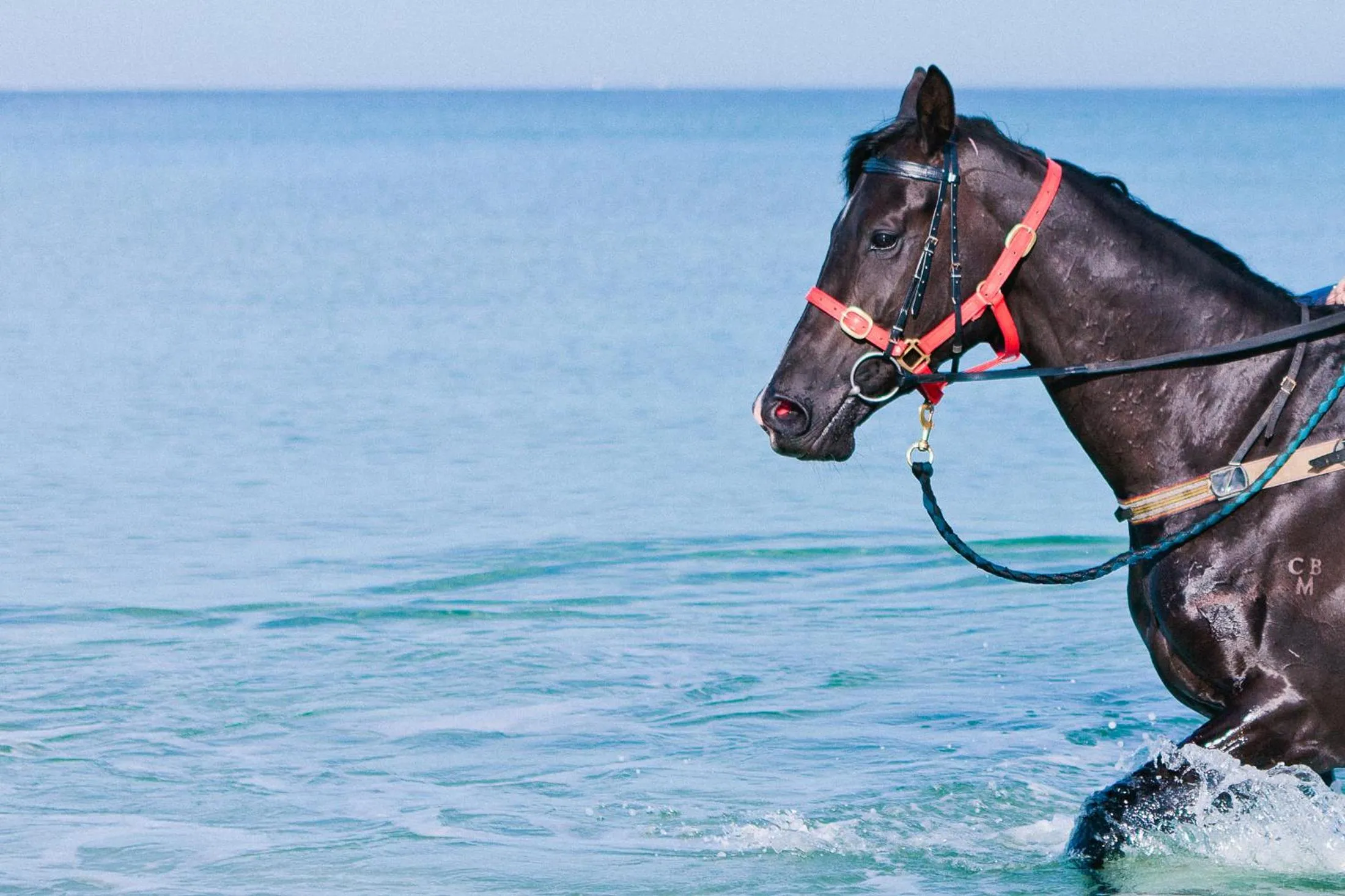 Sailaway Beach House