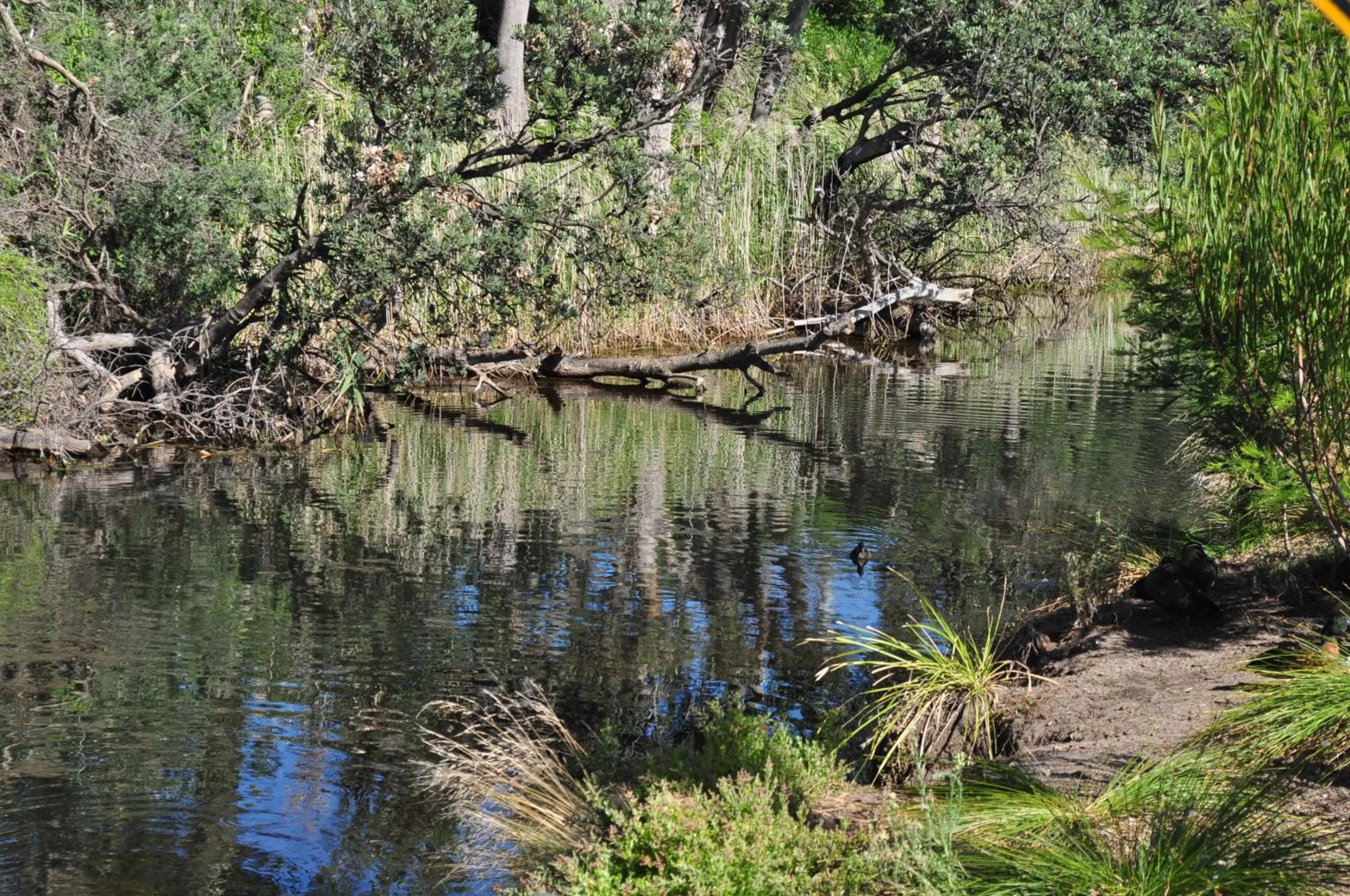 Natural landscape in Sailaway Beach House
