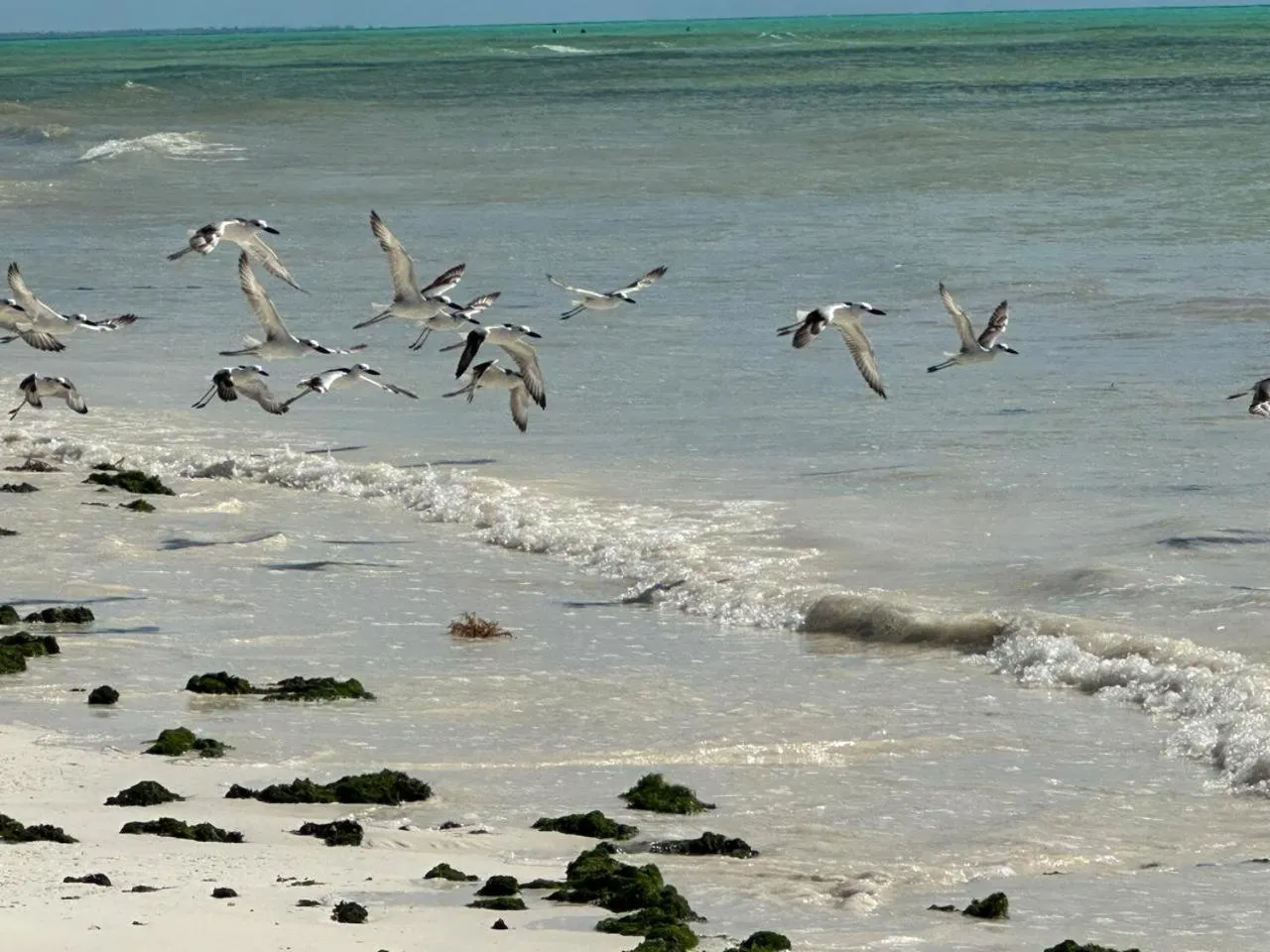 Villa Serenity, Tanzania Unforgettable