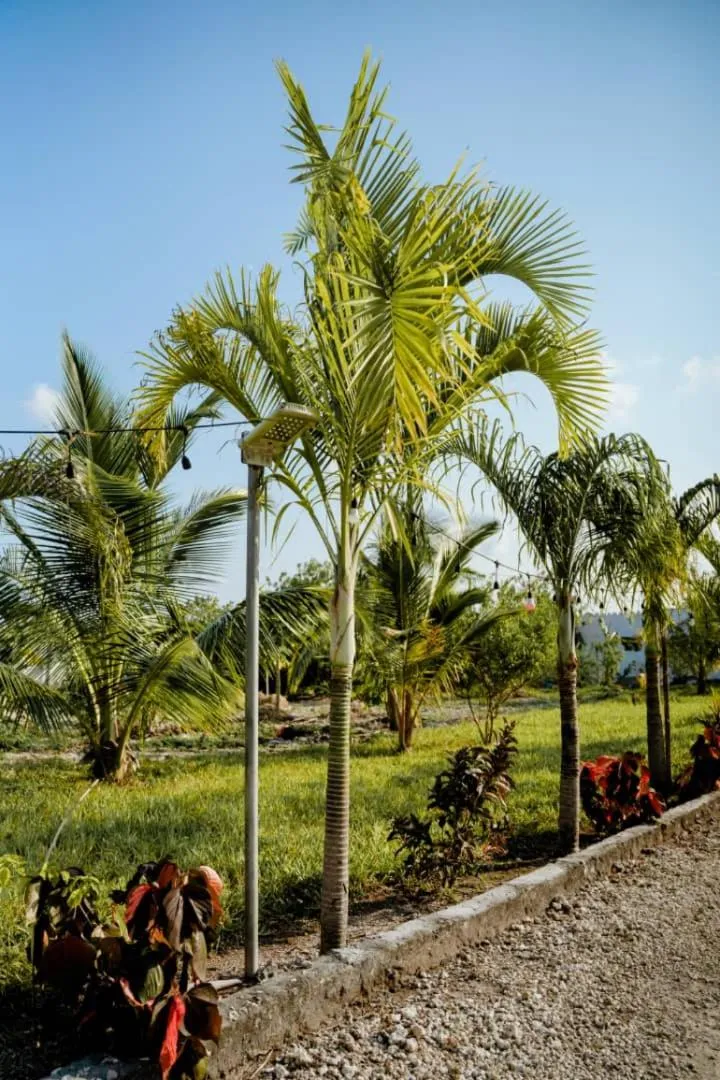 Villa Serenity, Tanzania Unforgettable