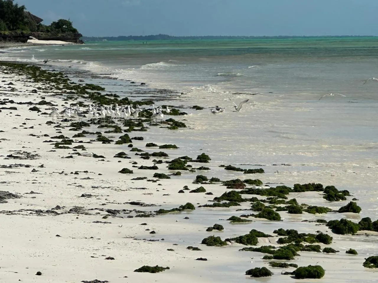 Villa Serenity, Tanzania Unforgettable
