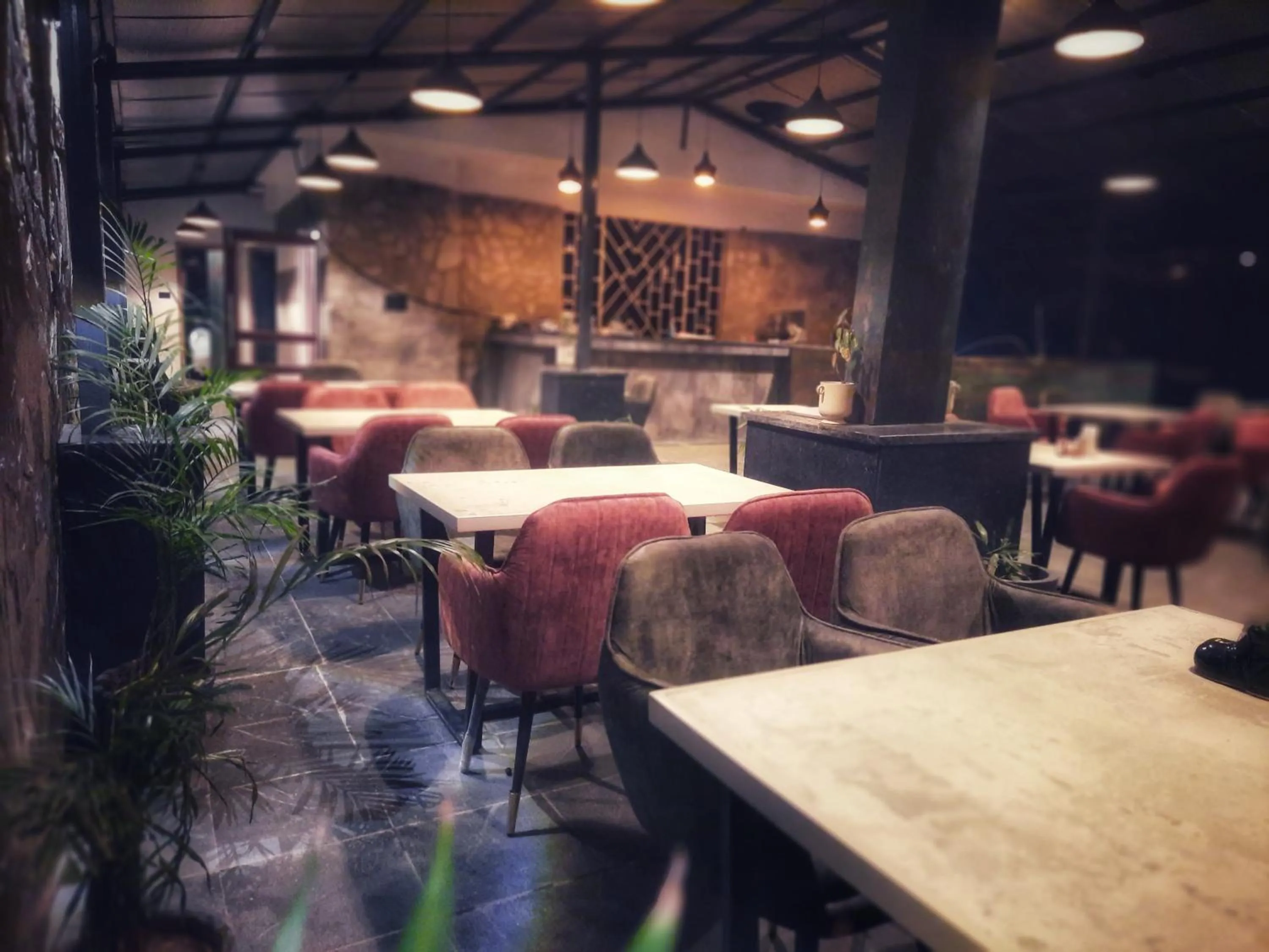 Restaurant/places to eat in Hotel Chail Residency