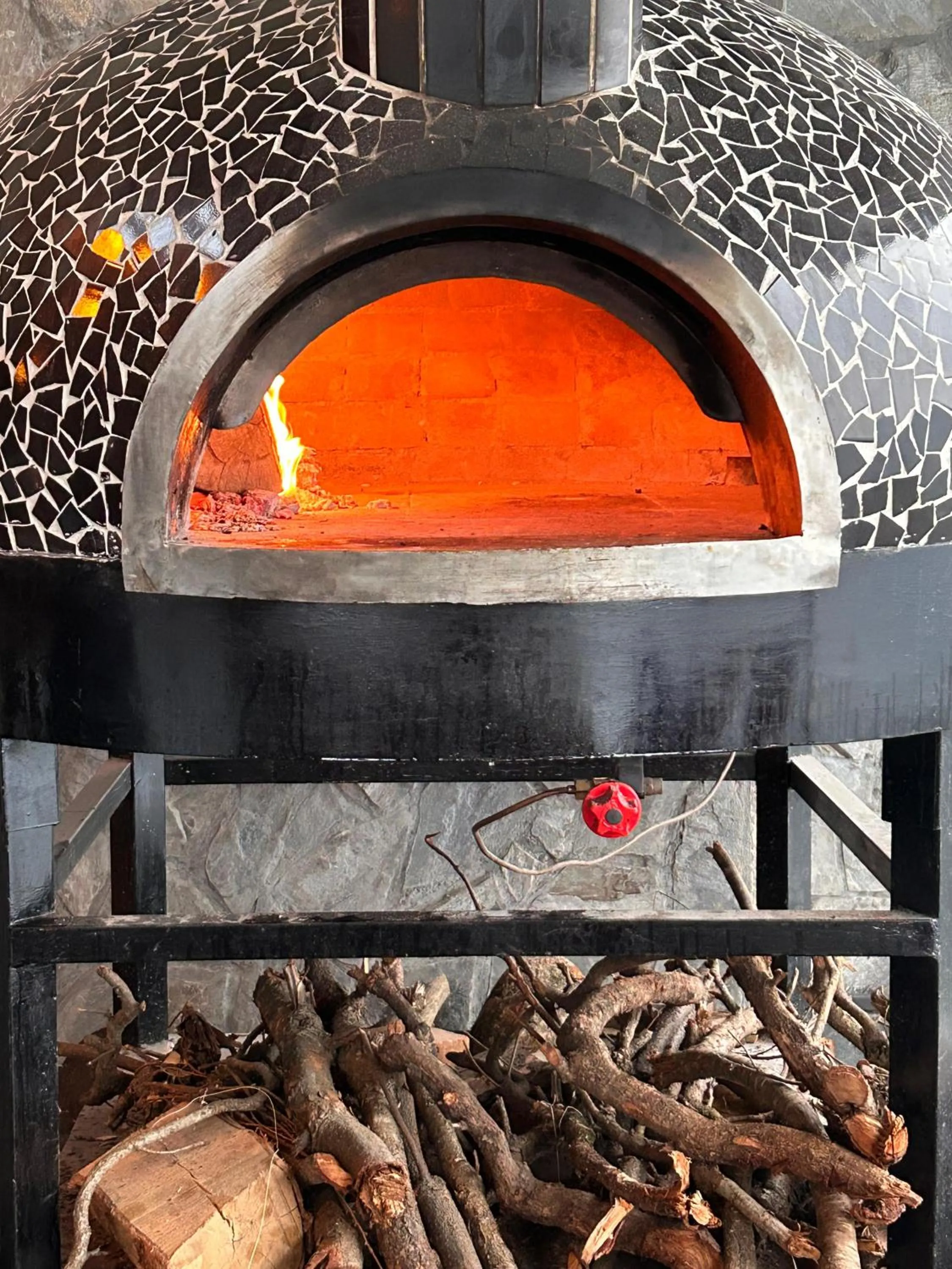 BBQ facilities in Hotel Chail Residency