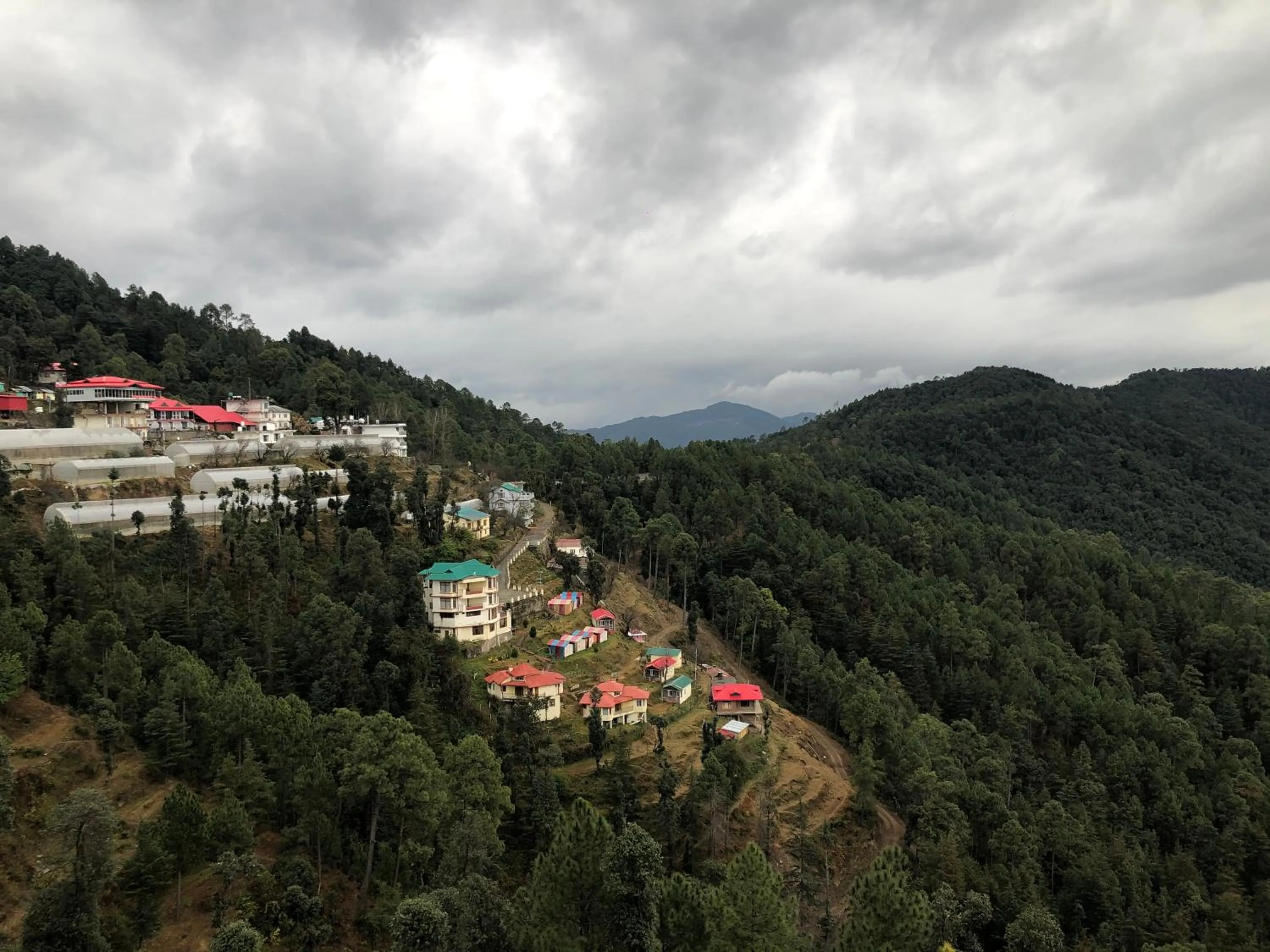 Neighbourhood in Hotel Chail Residency
