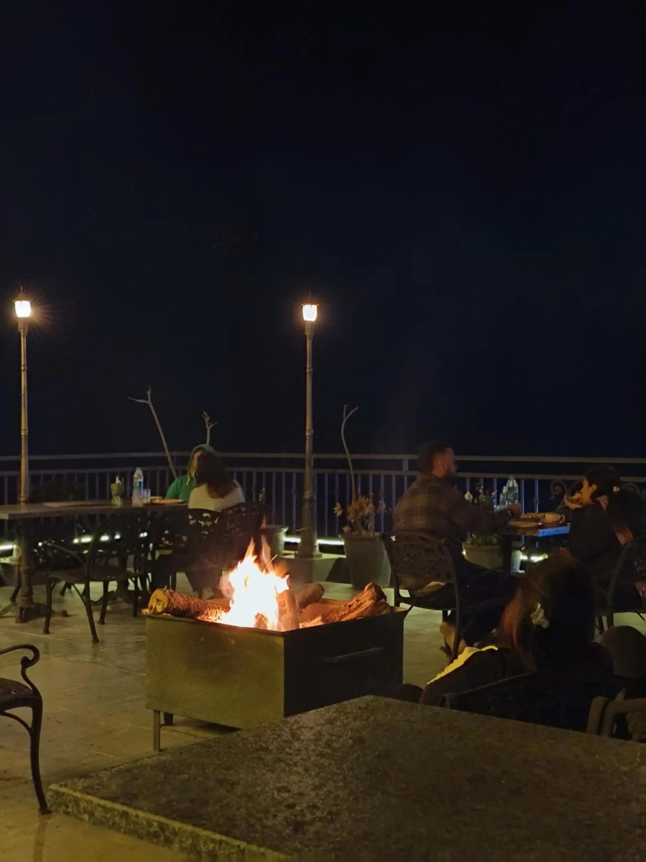 Night in Hotel Chail Residency