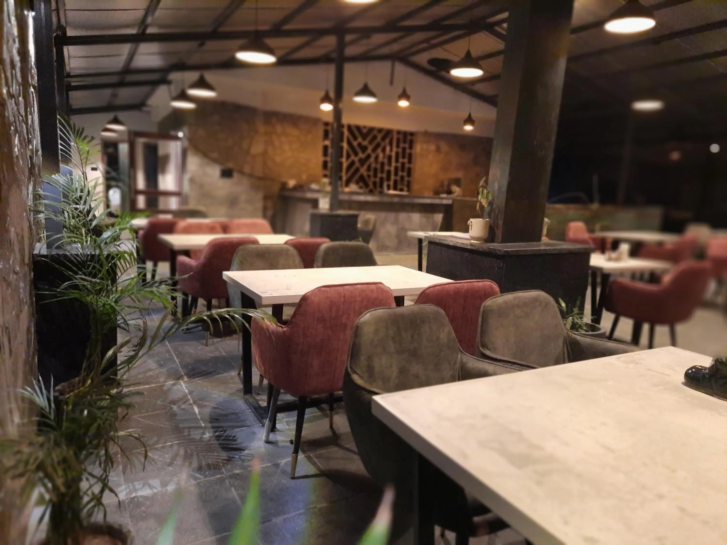 Restaurant/places to eat in Hotel Chail Residency