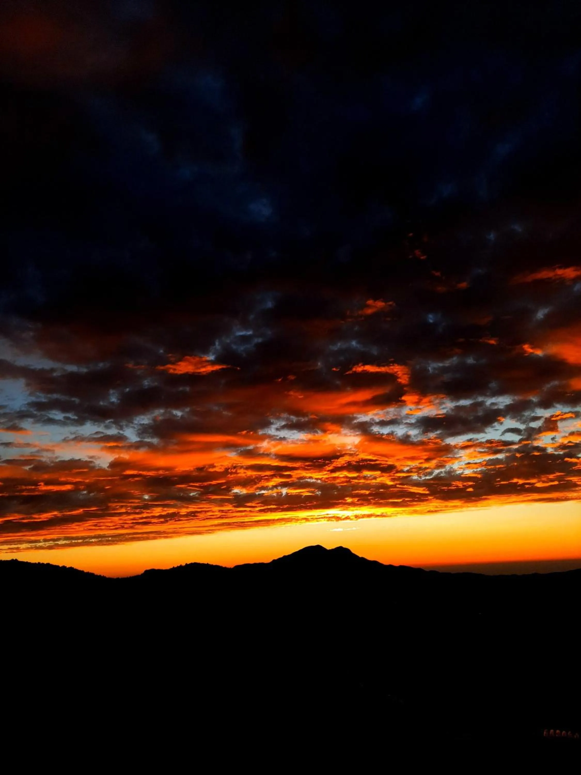 Natural landscape in Hotel Chail Residency