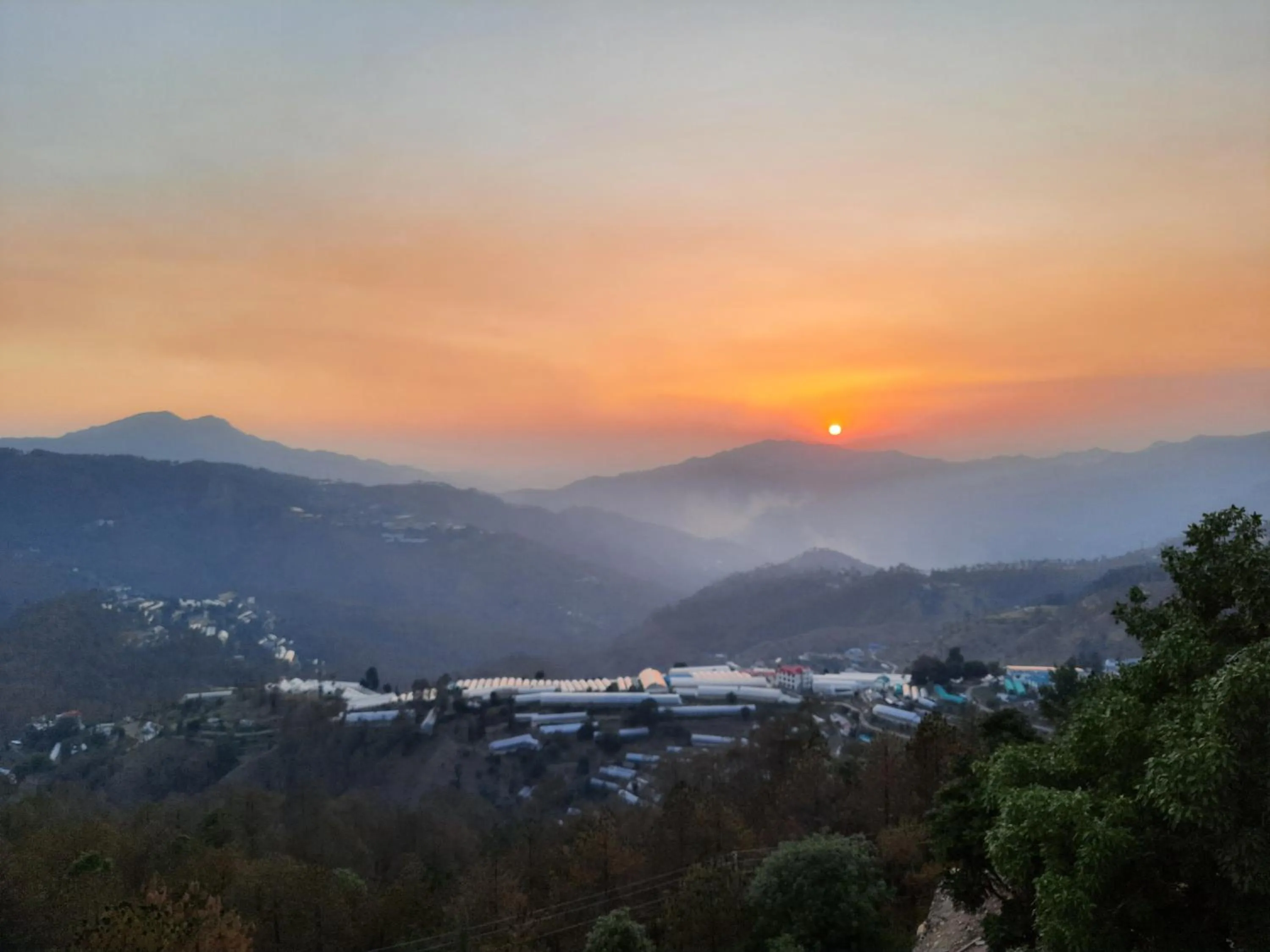 Day in Hotel Chail Residency