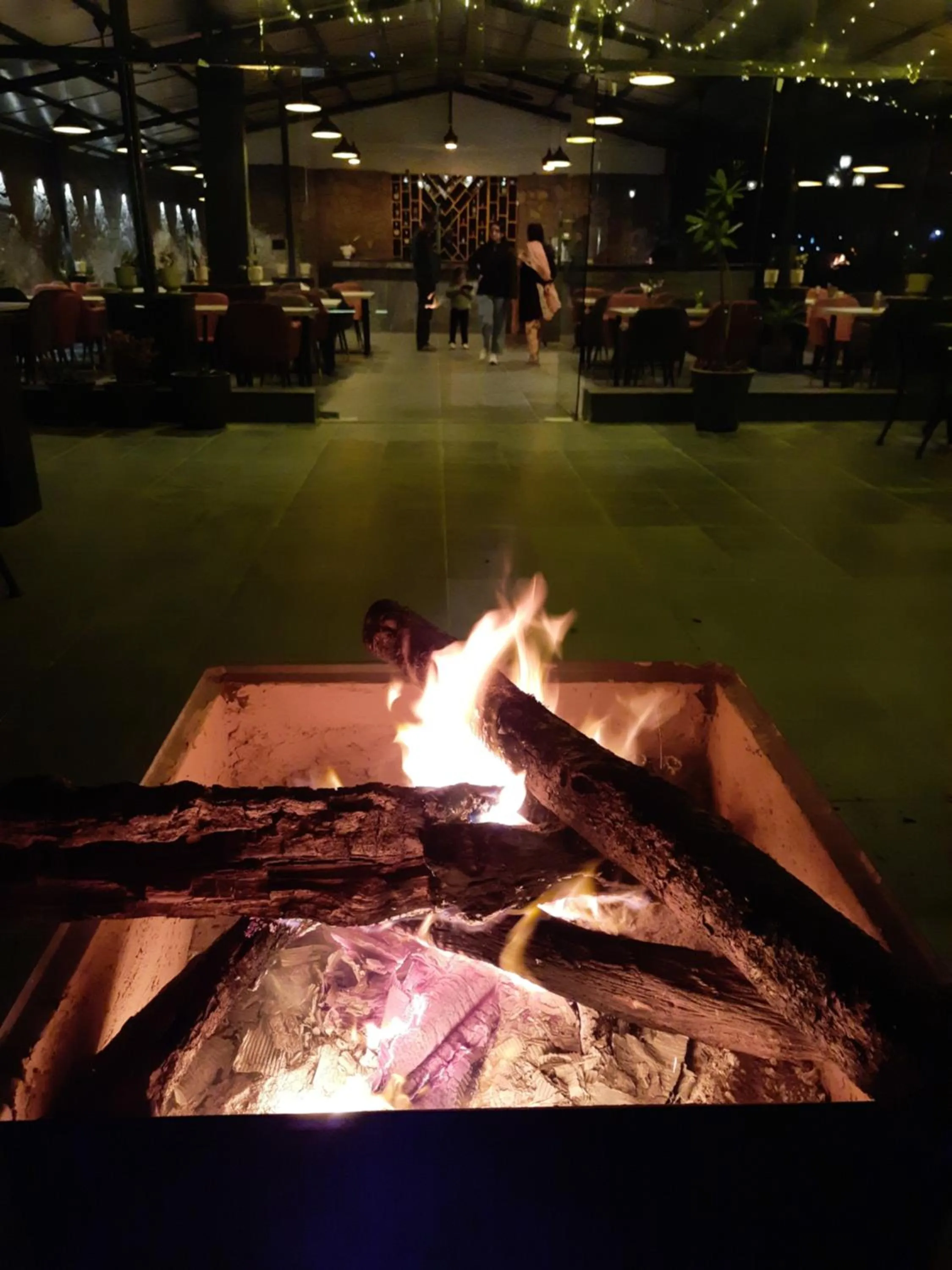 Night in Hotel Chail Residency