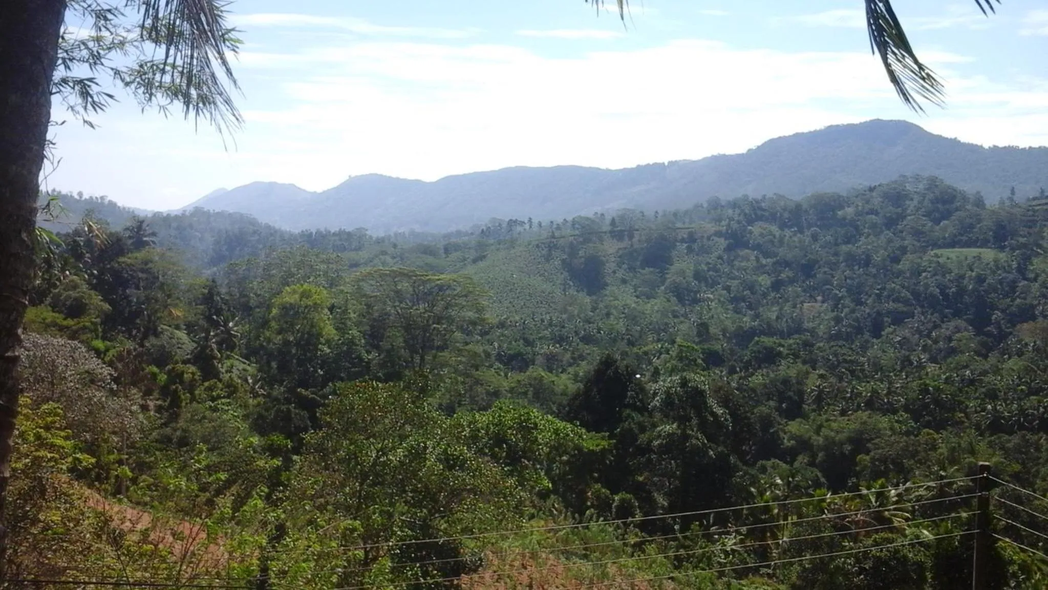 Mountain view in Mount Crest Inn Deniyaya