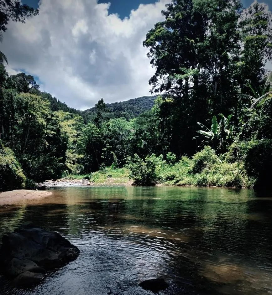 Hiking in Mount Crest Inn Deniyaya