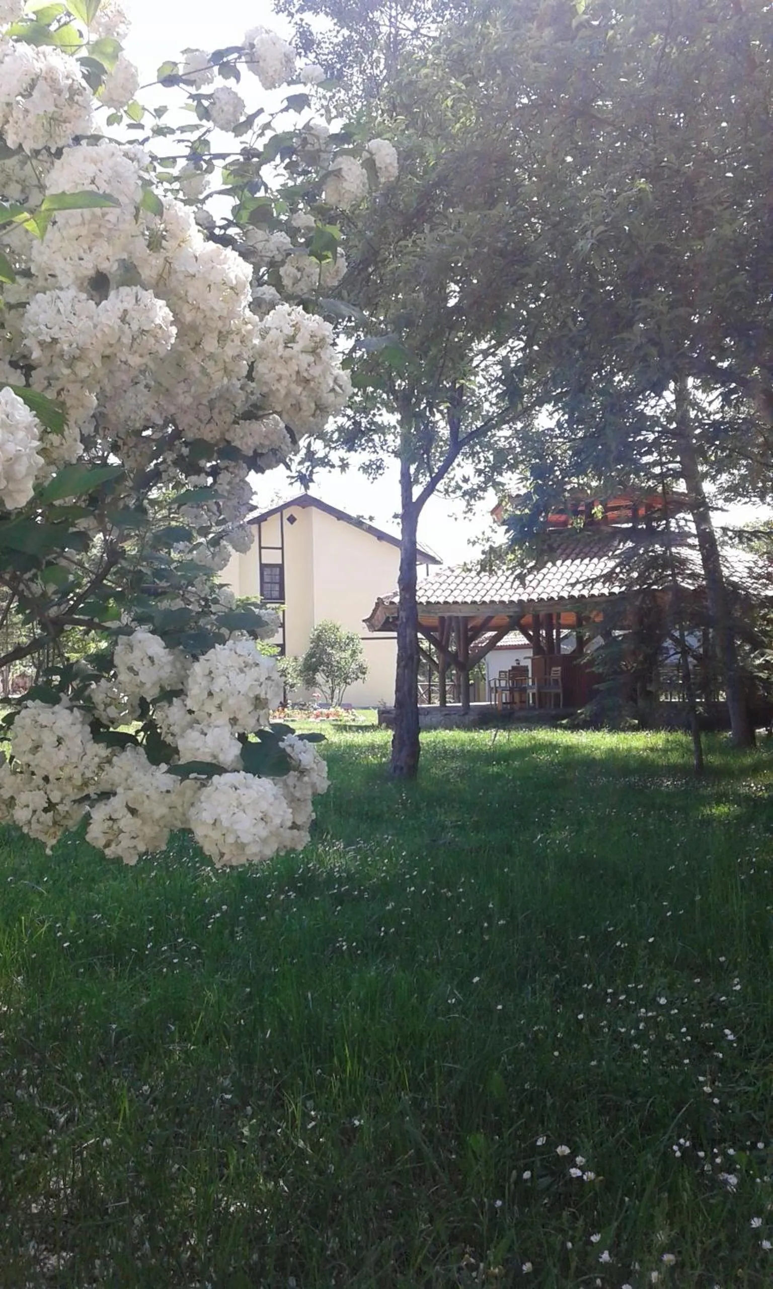 Garden in VONRESORT Abant