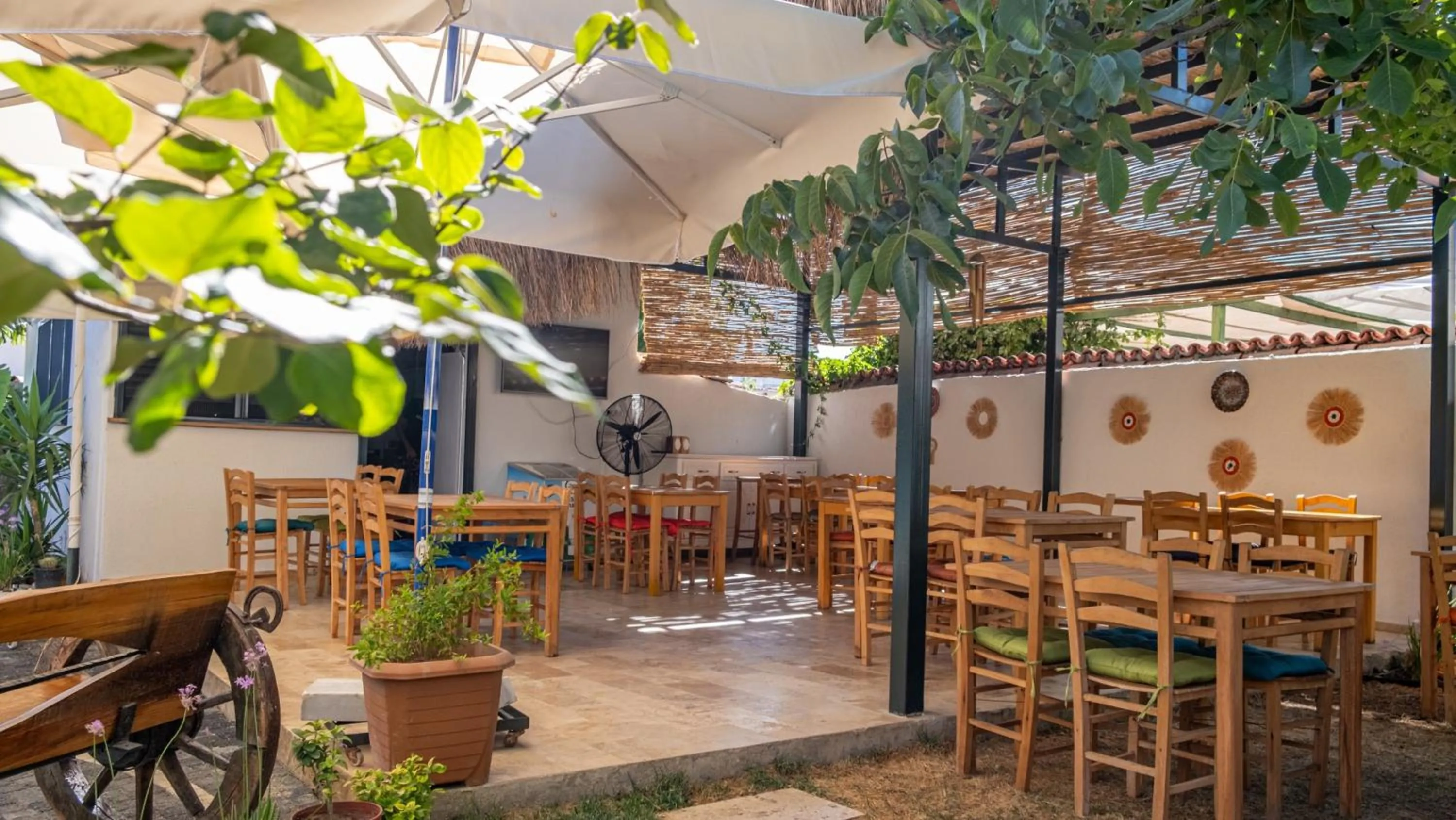 Garden in Tetka Konukevi