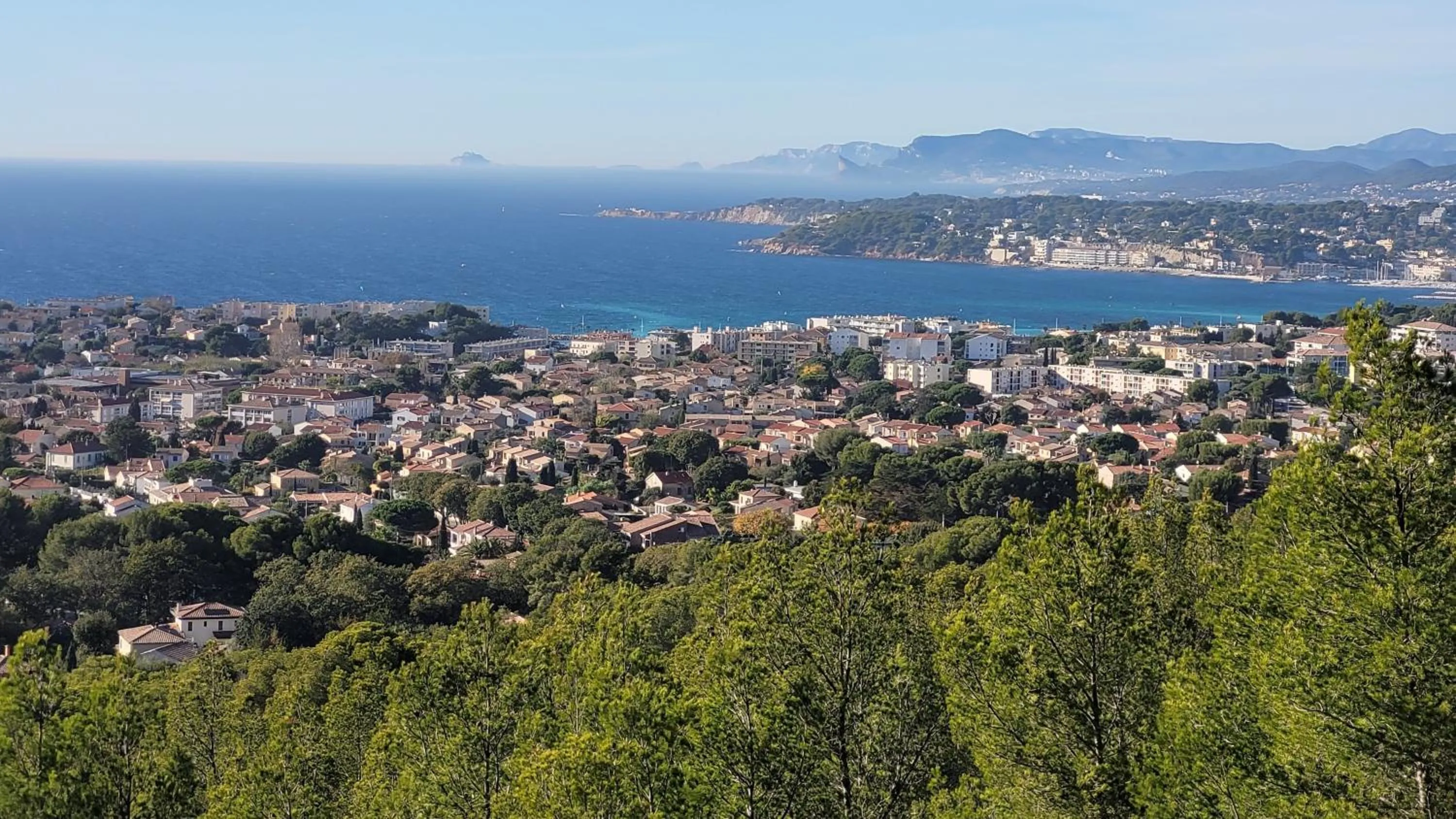 les Marronniers