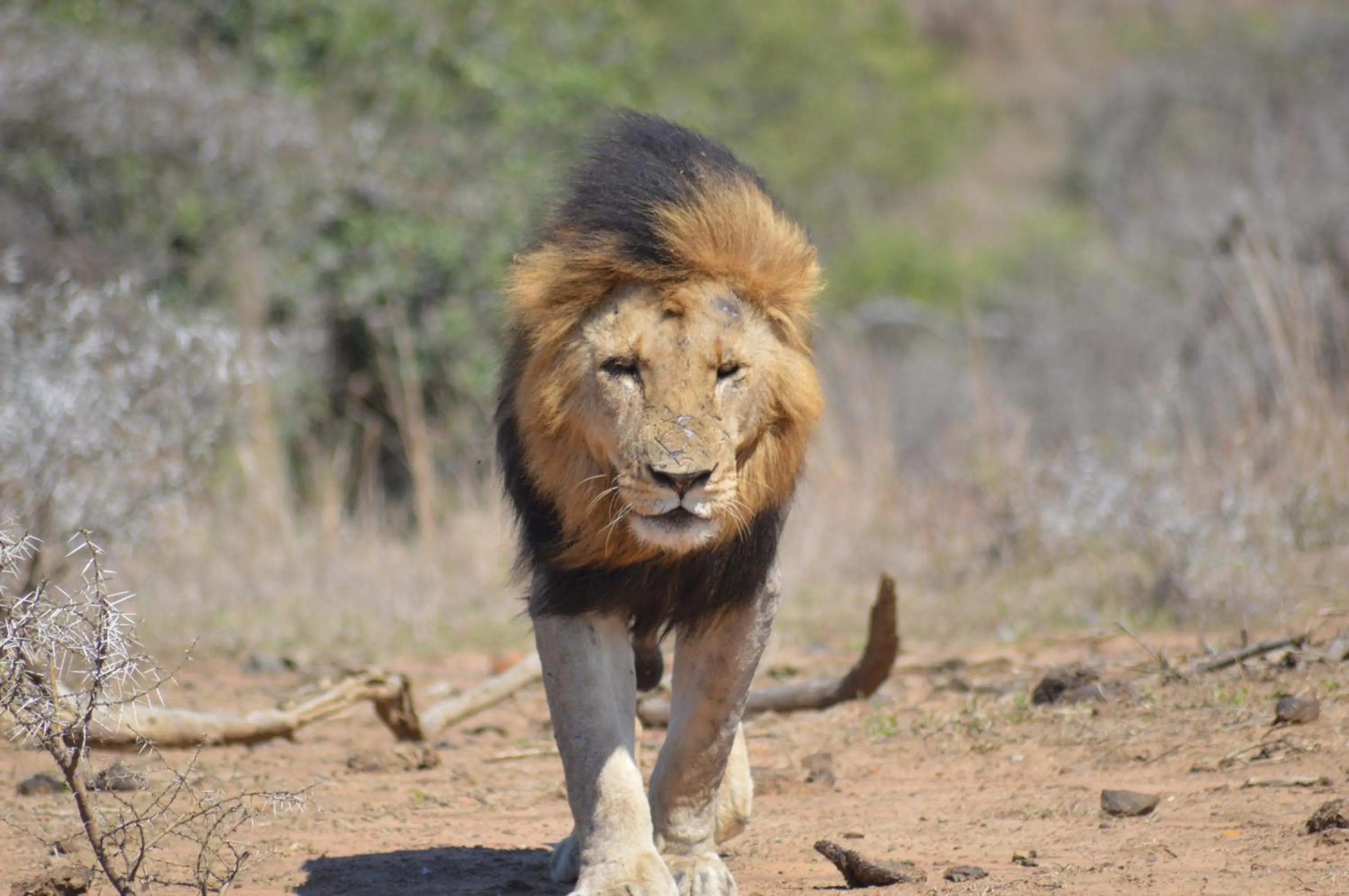 Activities in Luxury Tented Village @ Urban Glamping