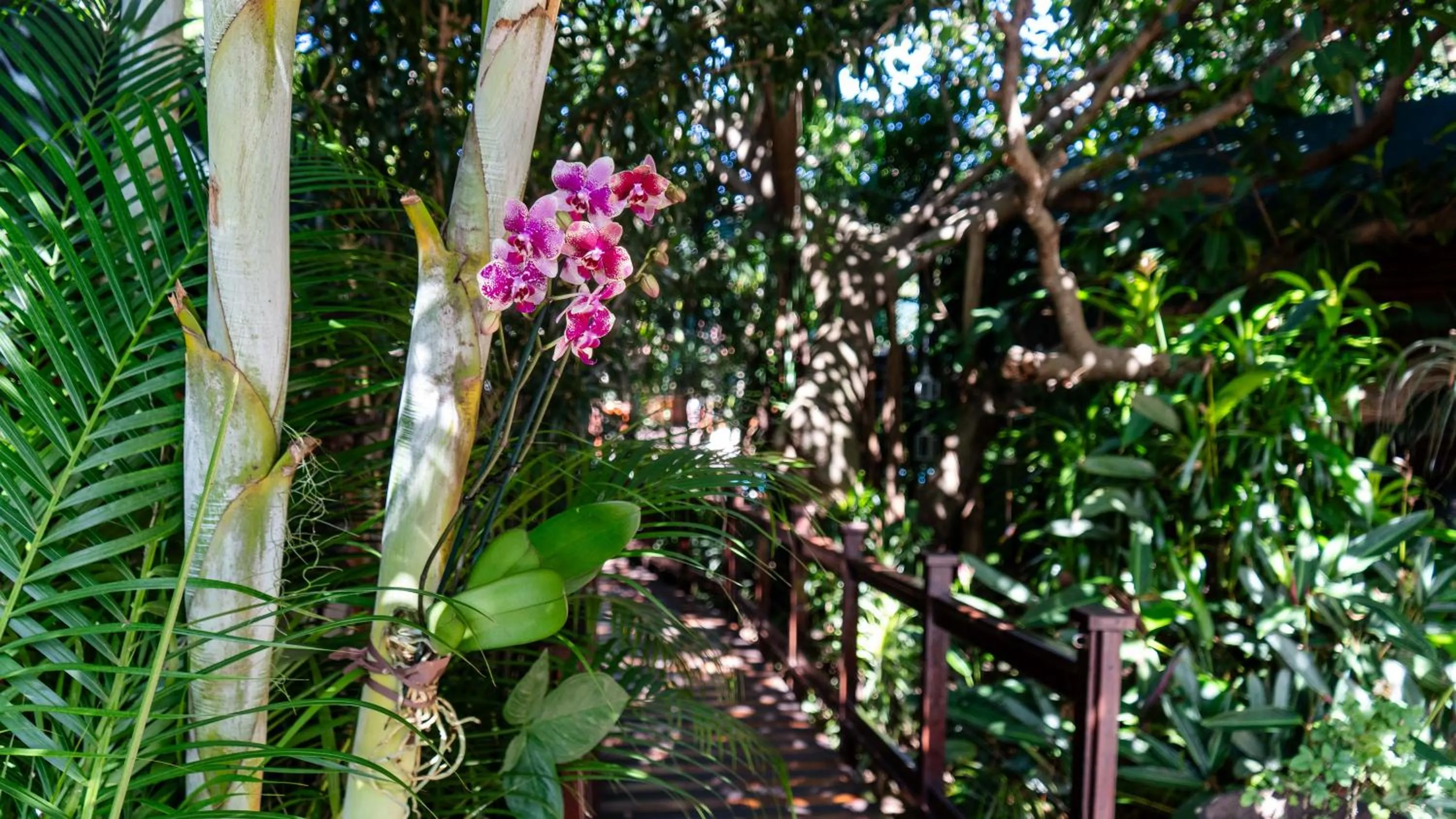 Luxury Tented Village @ Urban Glamping