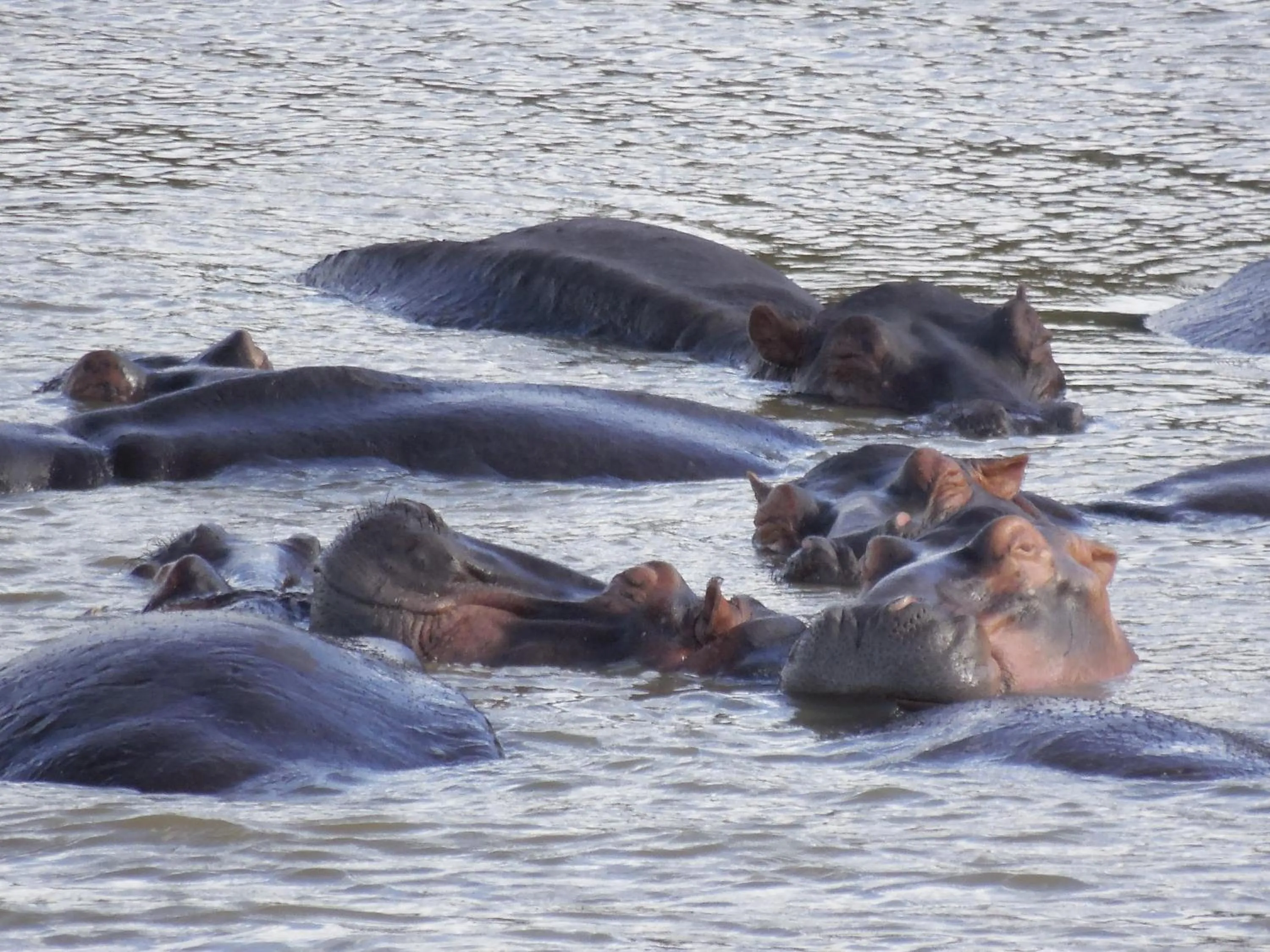 Off site in Luxury Tented Village @ Urban Glamping