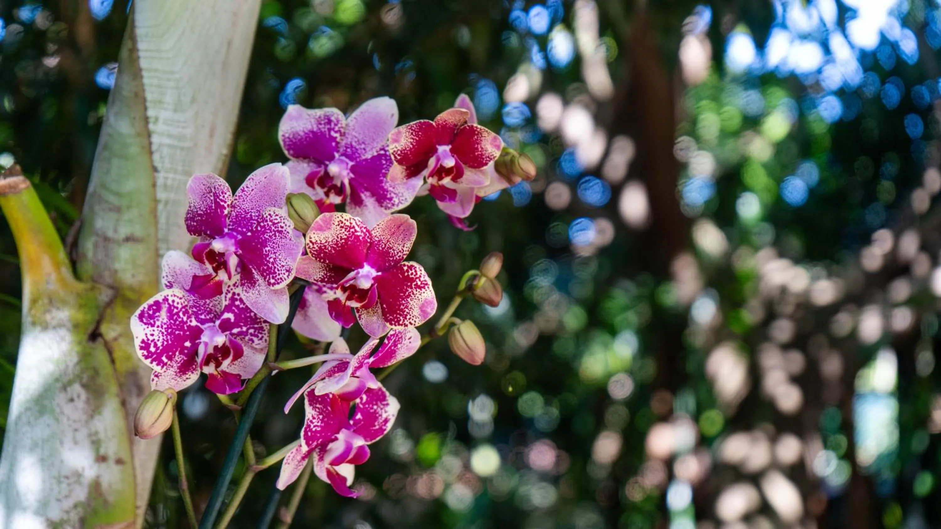 Luxury Tented Village @ Urban Glamping