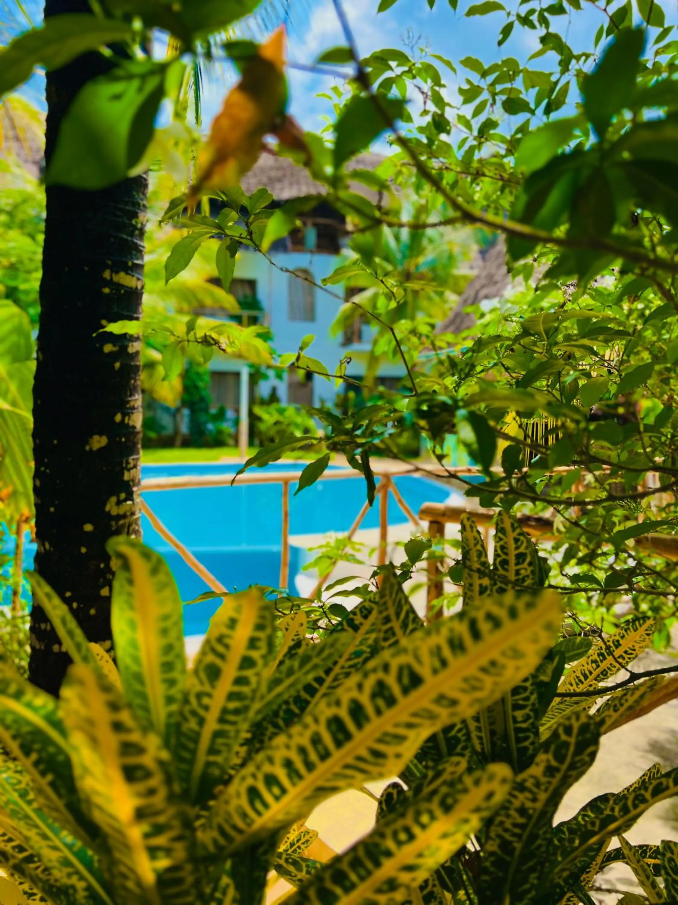 Day in Tropical Nungwi