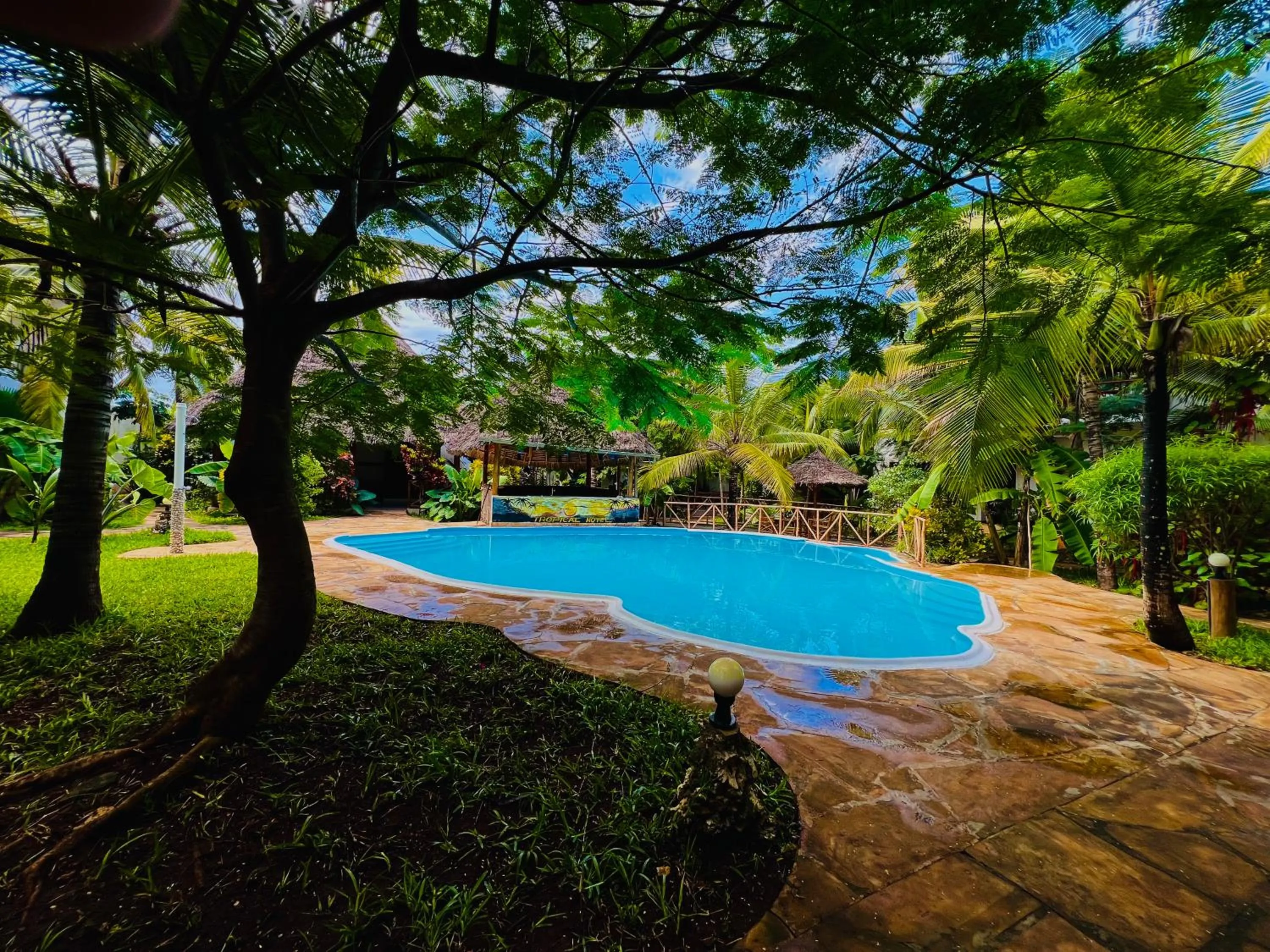 Natural landscape in Tropical Nungwi