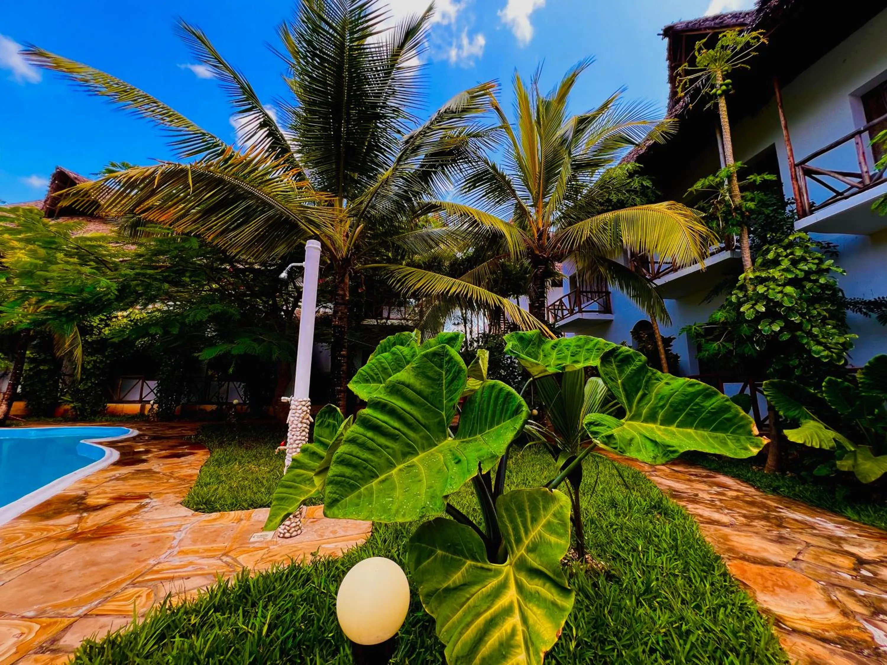 Garden view in Tropical Nungwi