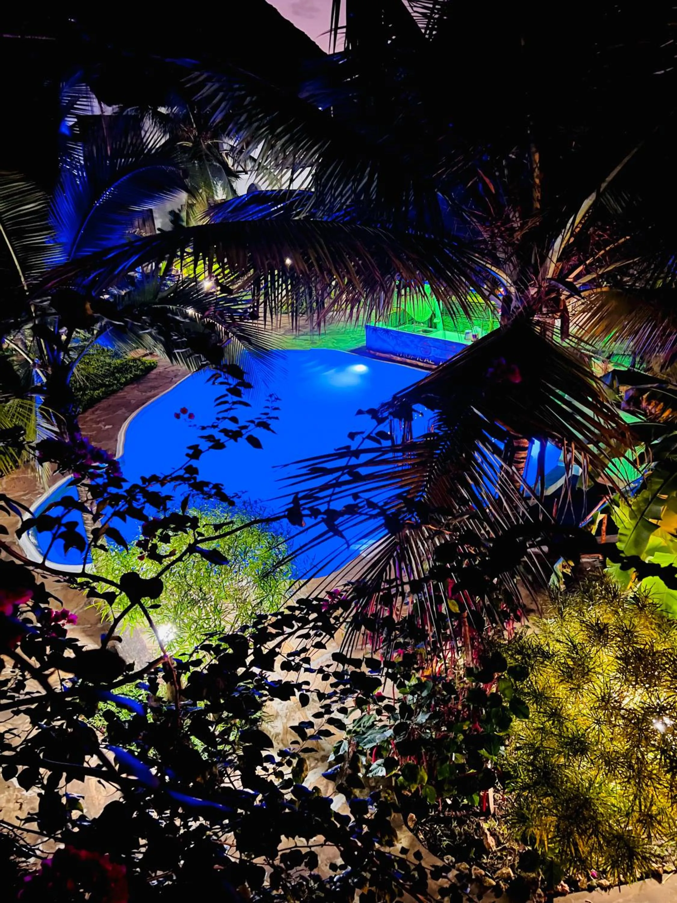 Night in Tropical Nungwi