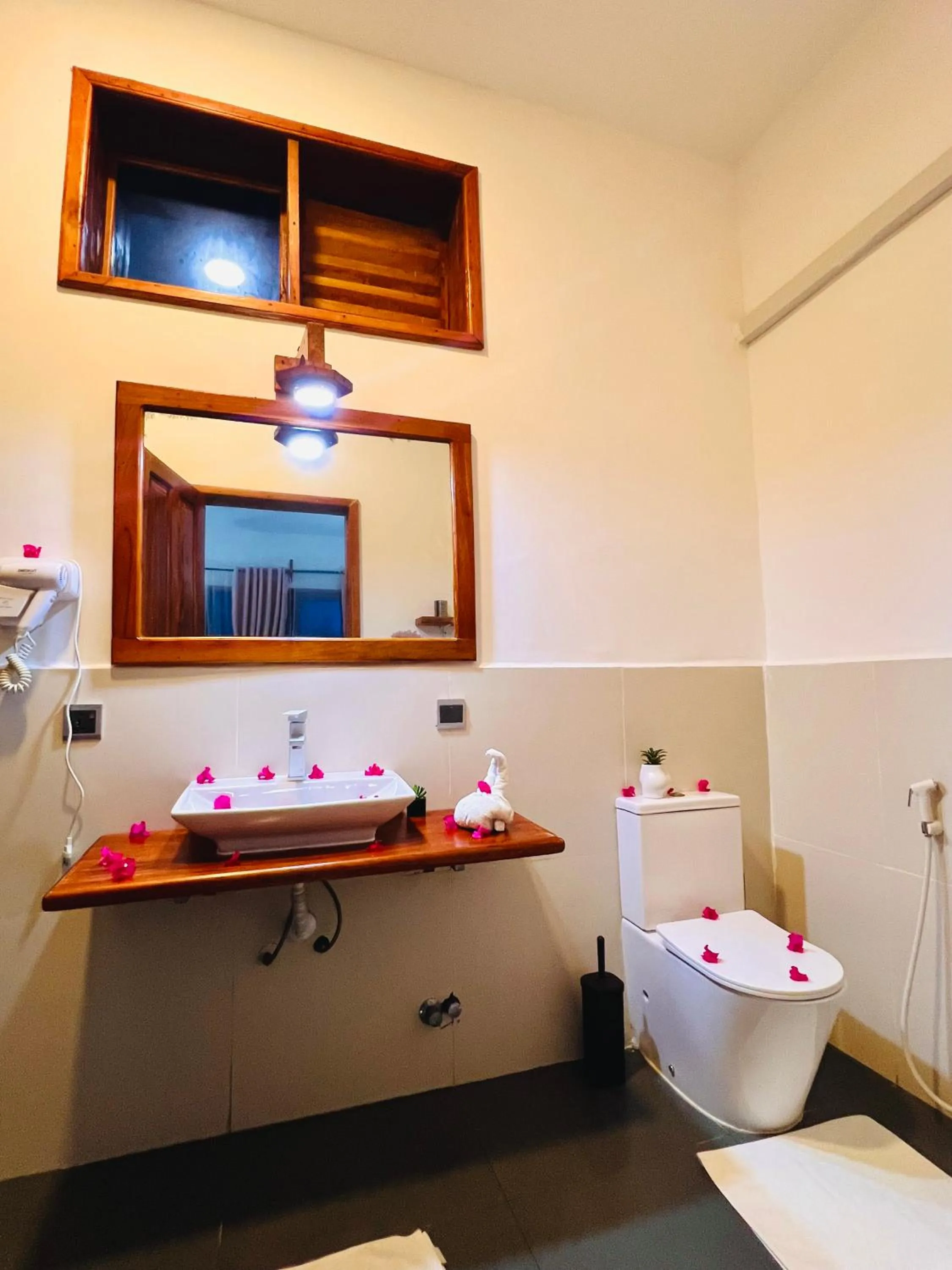 Toilet in Tropical Nungwi