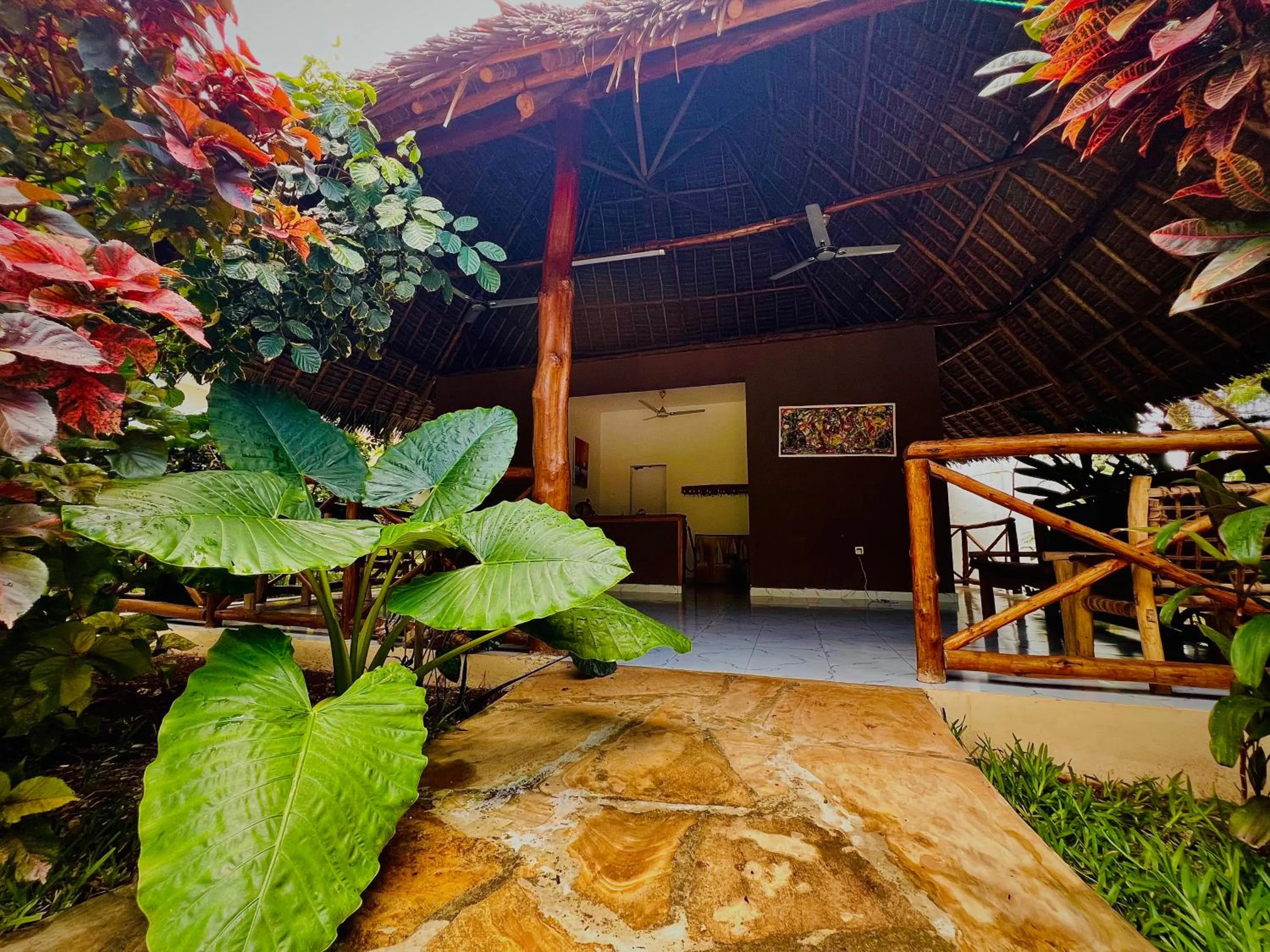 Day in Tropical Nungwi