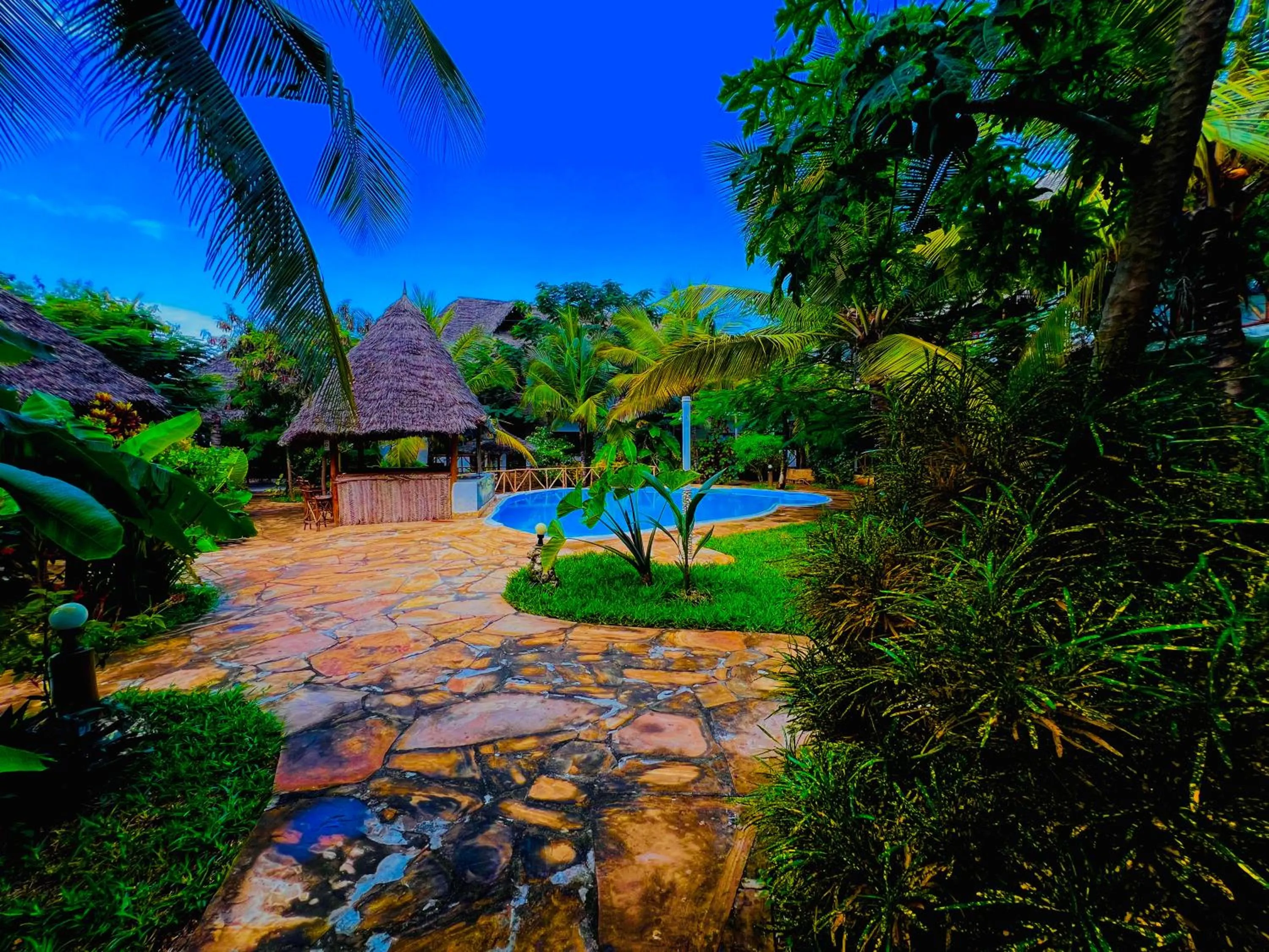 Garden view in Tropical Nungwi