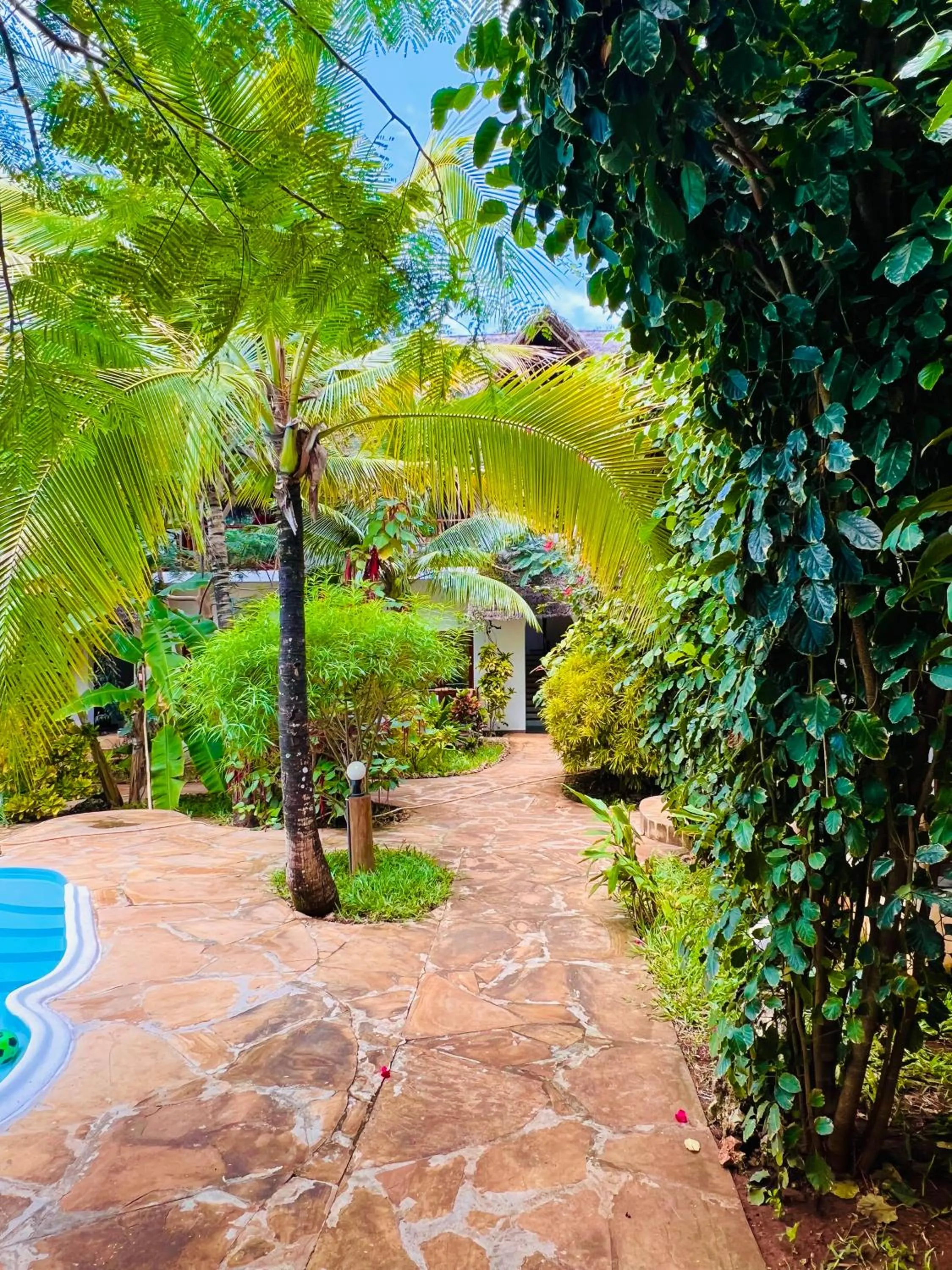 Day in Tropical Nungwi