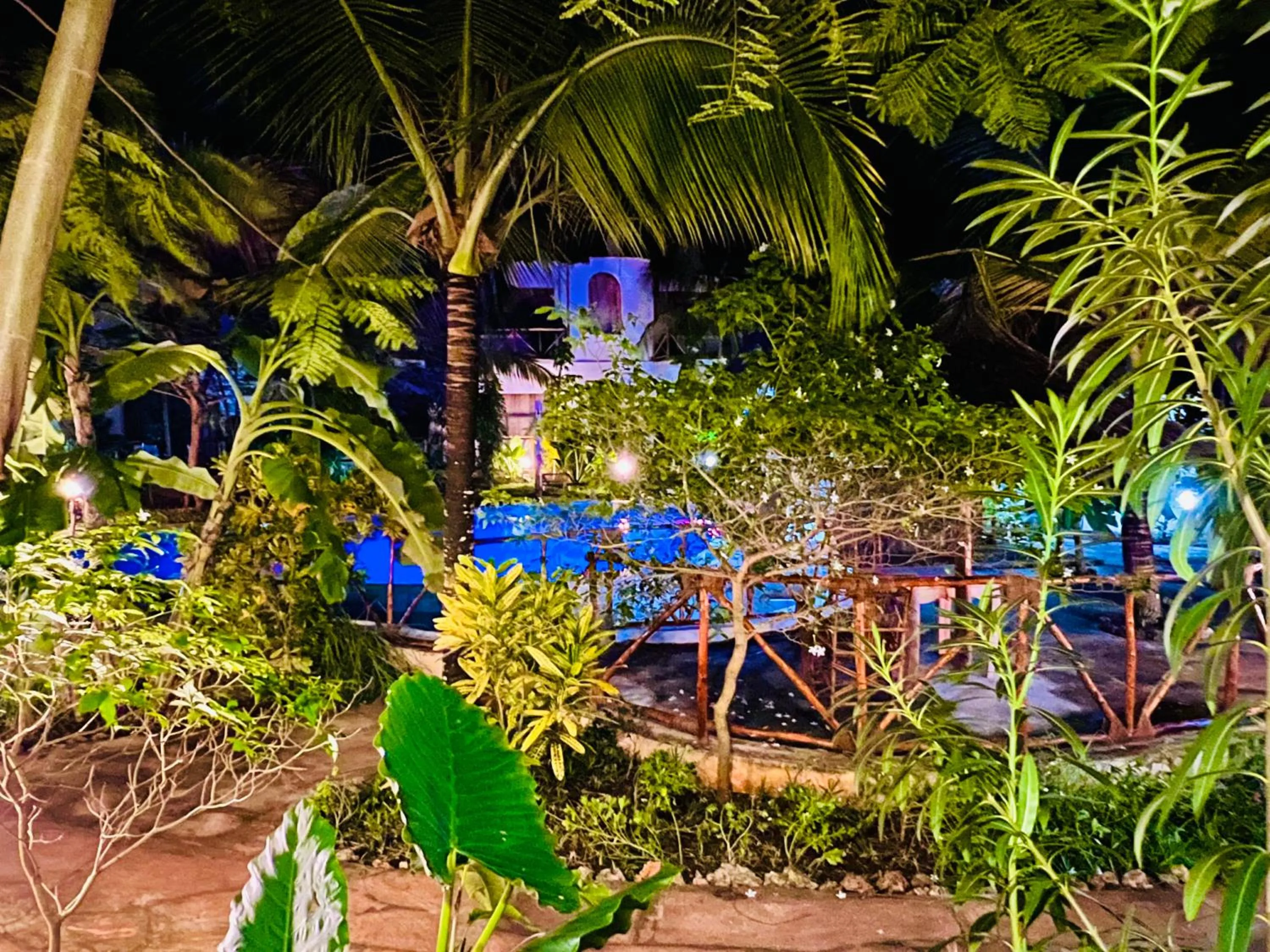 Natural landscape in Tropical Nungwi