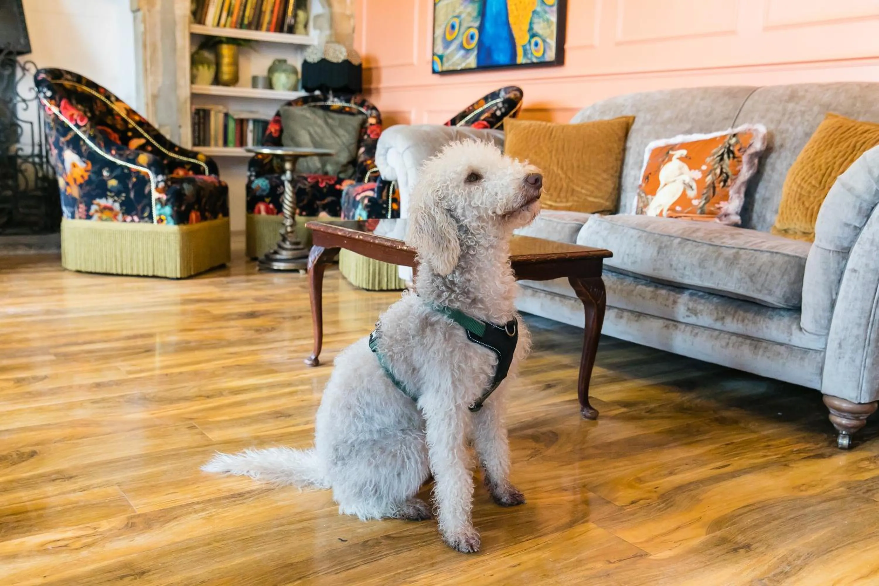 Lounge or bar in The Burgoyne - Stunning Hotel with Amazing Views and Impeccable Service