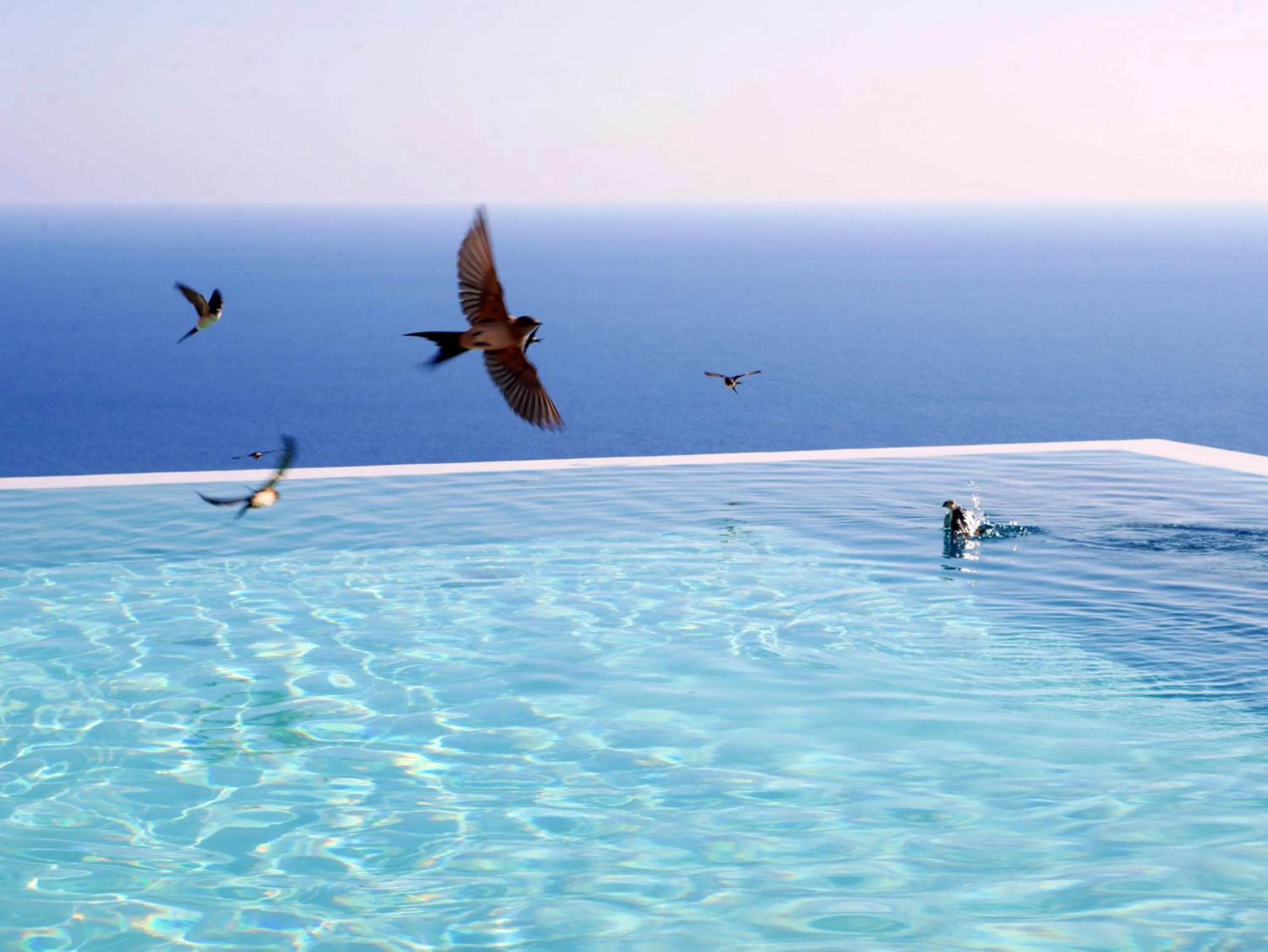 Swimming pool in Tainaron Blue Retreat