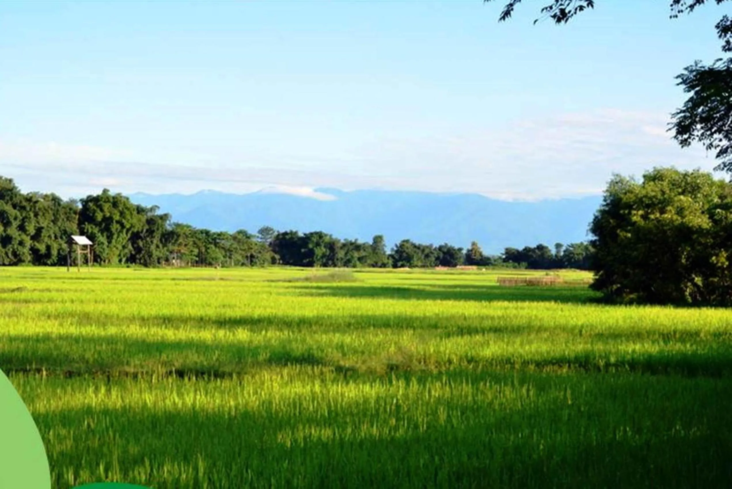 View (from property/room) in The Riverwood Forest Retreat Dooars - fully vaccinated staff