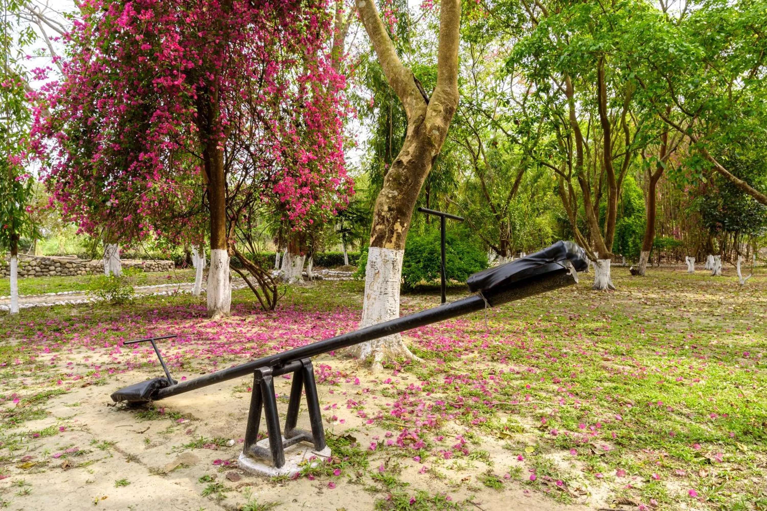 Garden in The Riverwood Forest Retreat Dooars - fully vaccinated staff