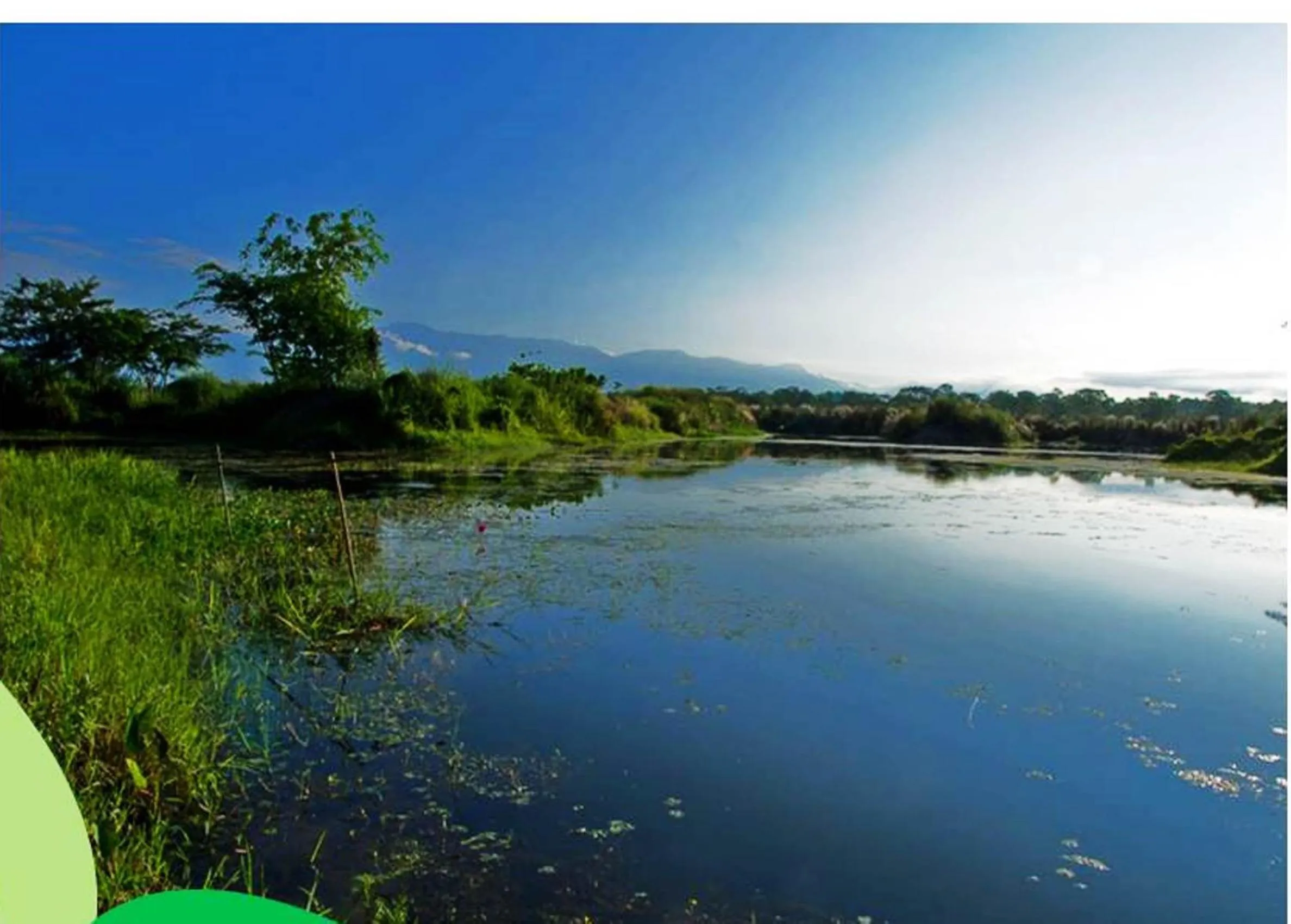 Natural landscape in The Riverwood Forest Retreat Dooars - fully vaccinated staff