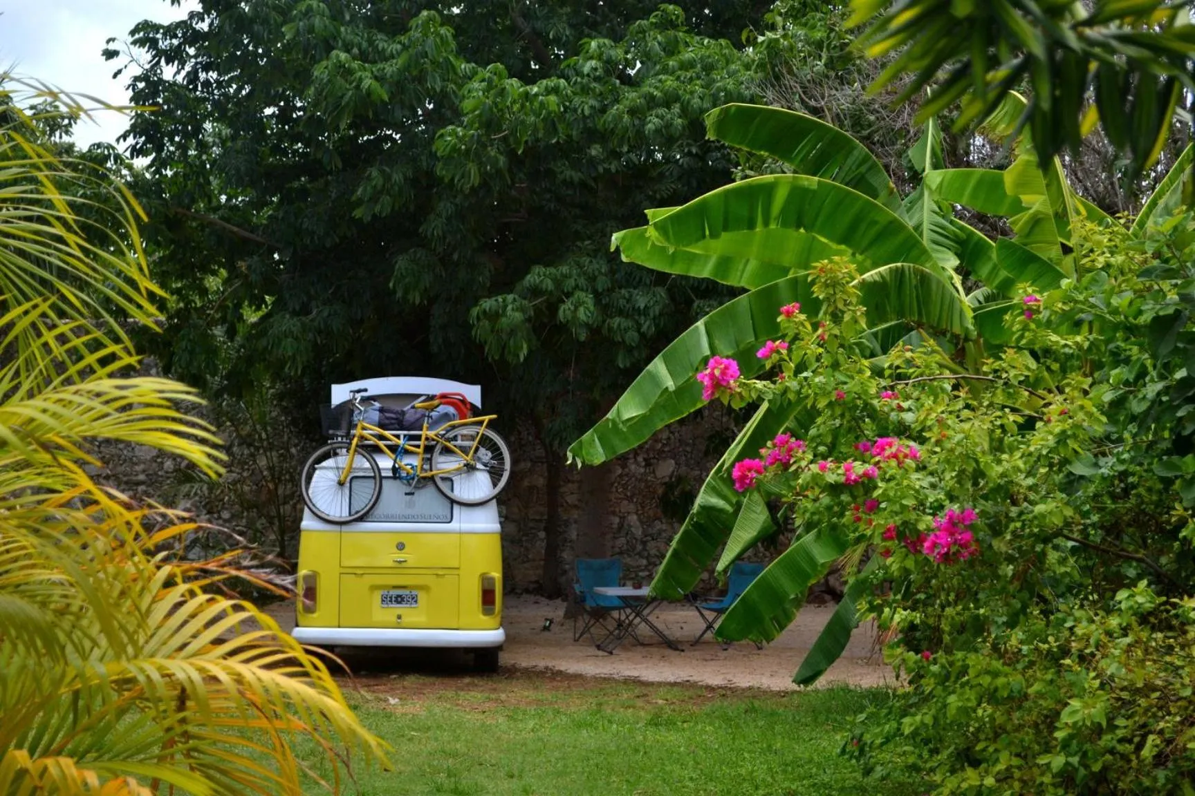 Garden in Hostal La Ermita
