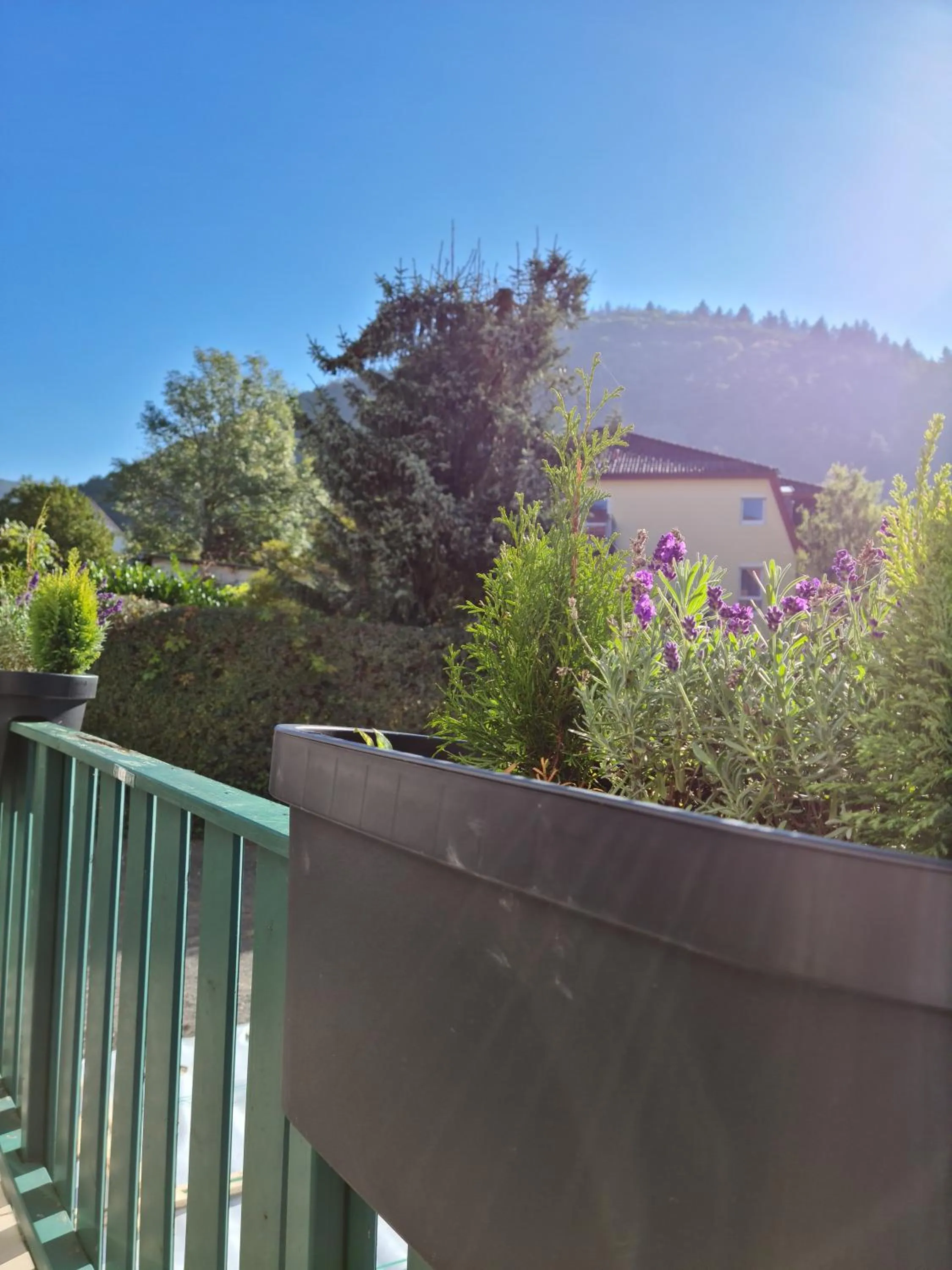 Mountain view in Pension Kreihe im Harz