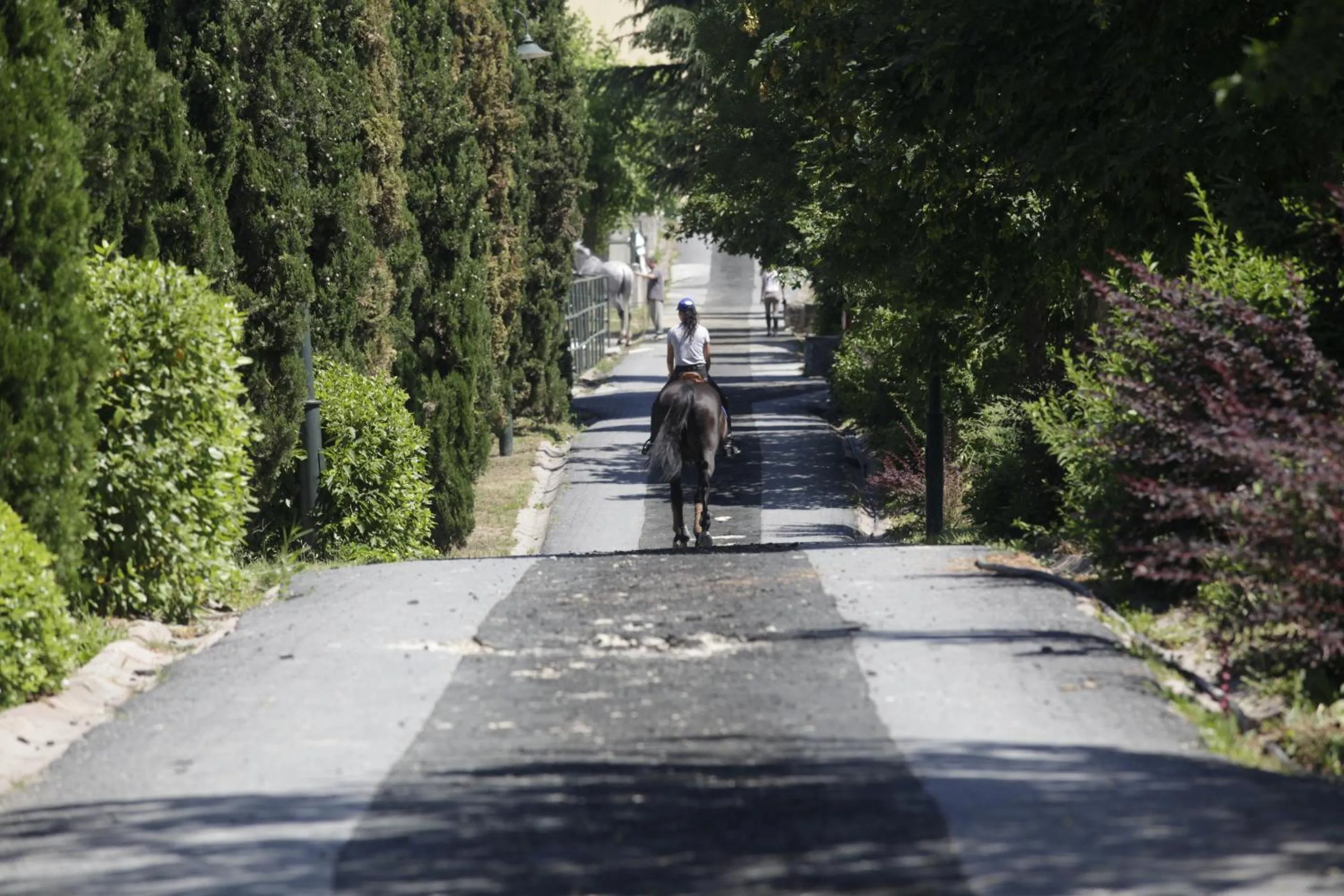 Horse-riding in Kemer Country Hotel İstanbul