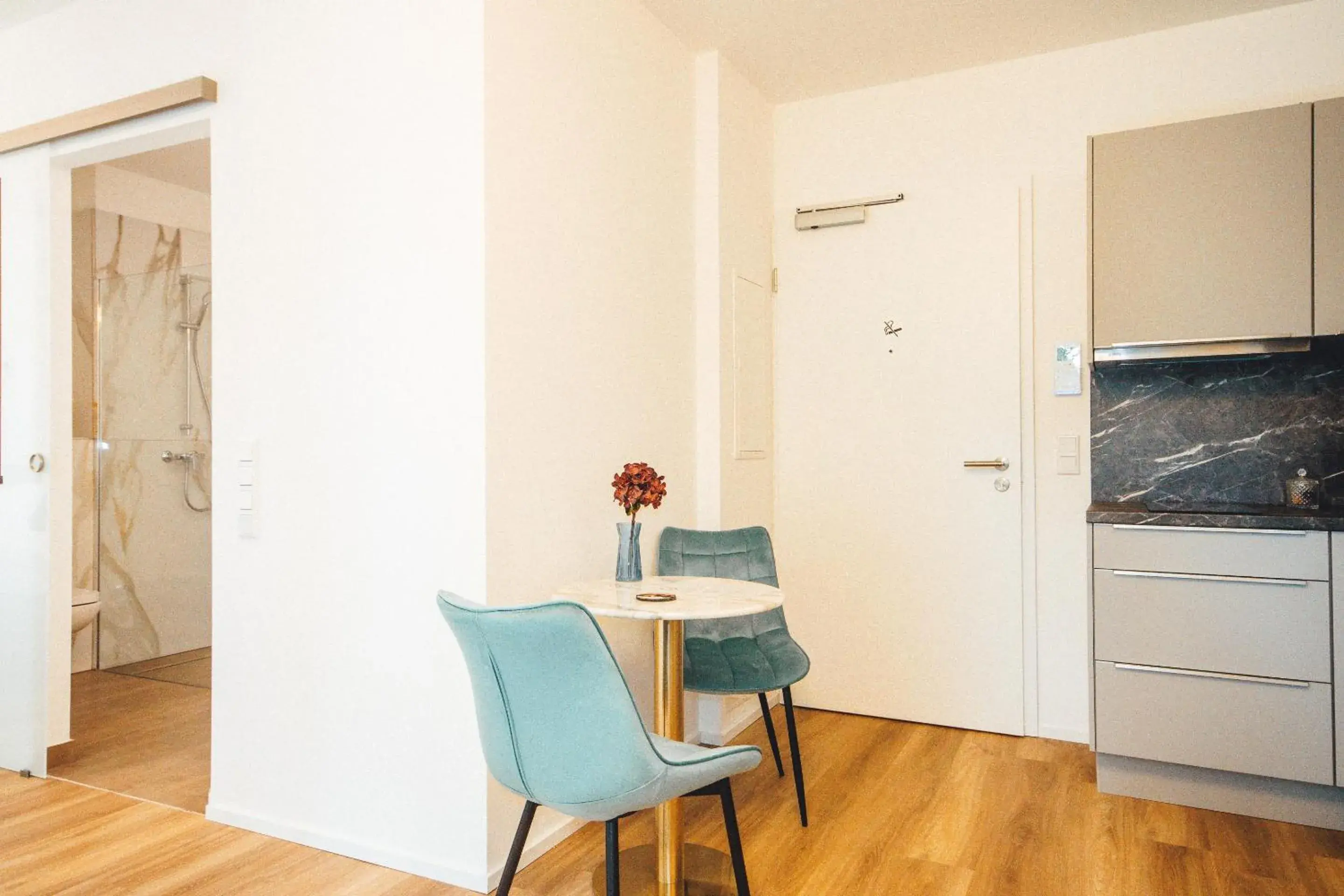 Junior Suite in THE WOS Apartments Junior Suite in THE WOS Apartments