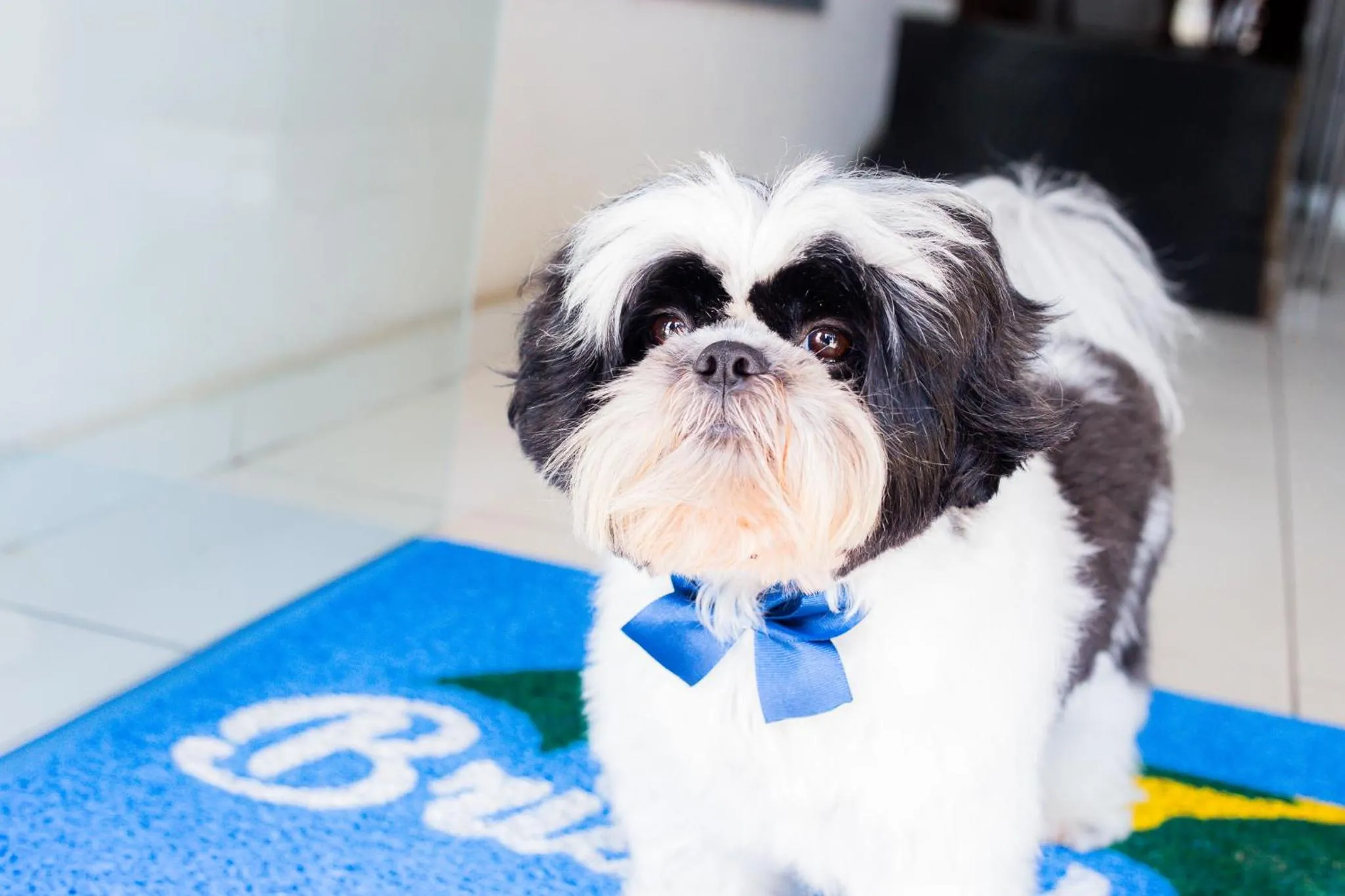 Pousada Brisa do Morro