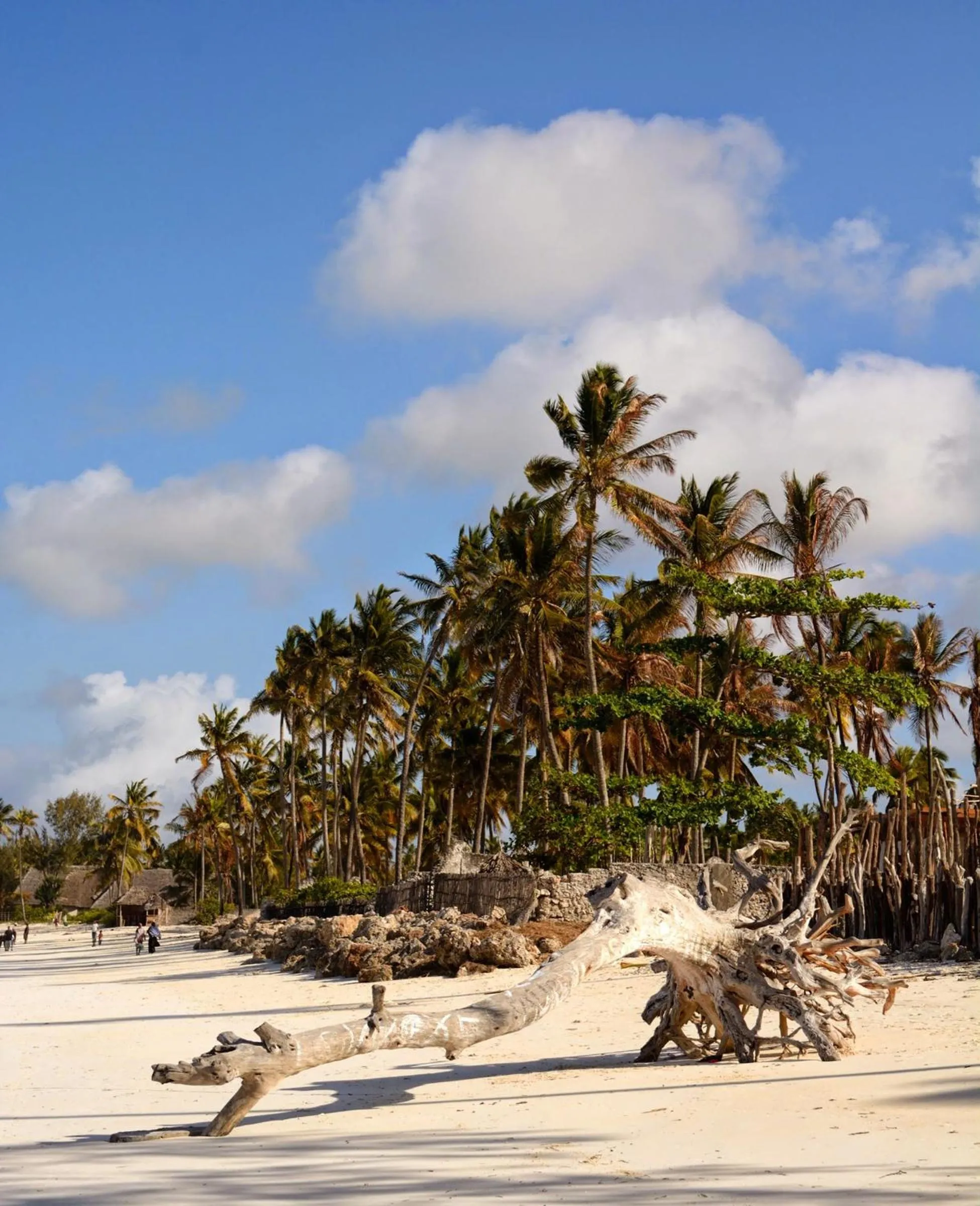 Natural landscape in Kipepeo Lodge Zanzibar