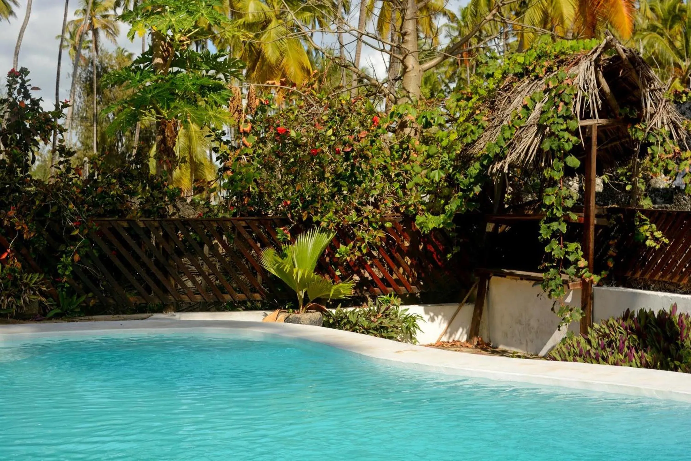 Swimming pool in Kipepeo Lodge Zanzibar