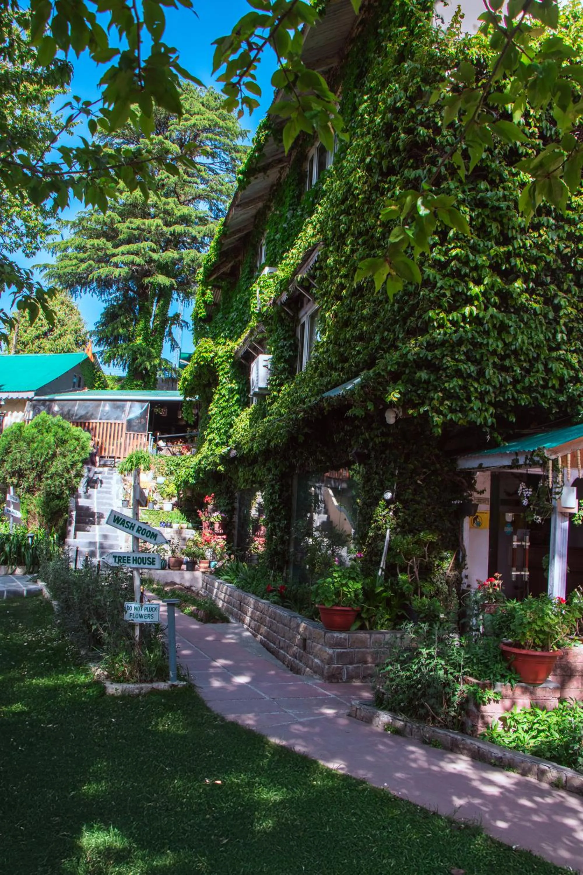 Garden in Alps Resort